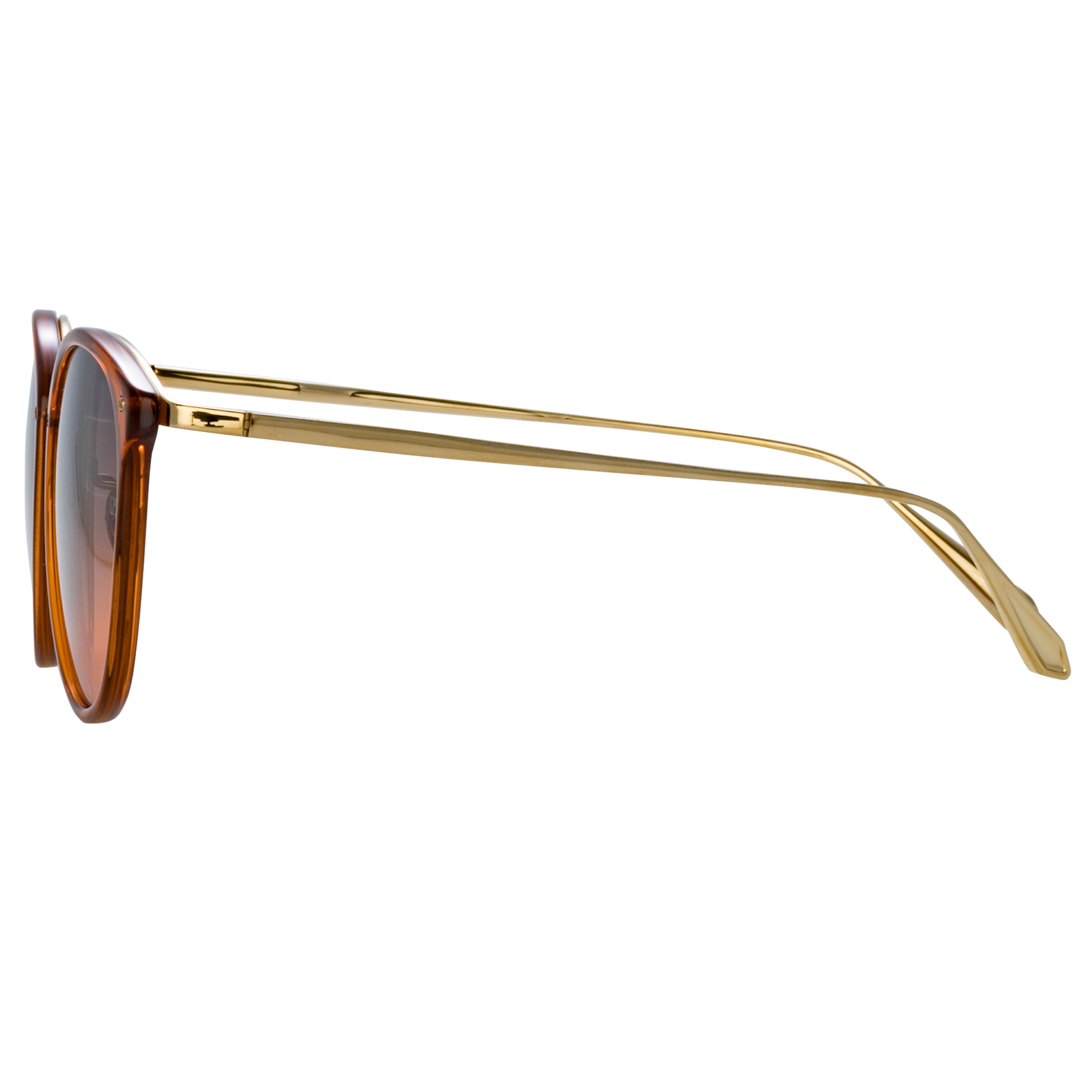 Calthorpe Sunglasses in Orange