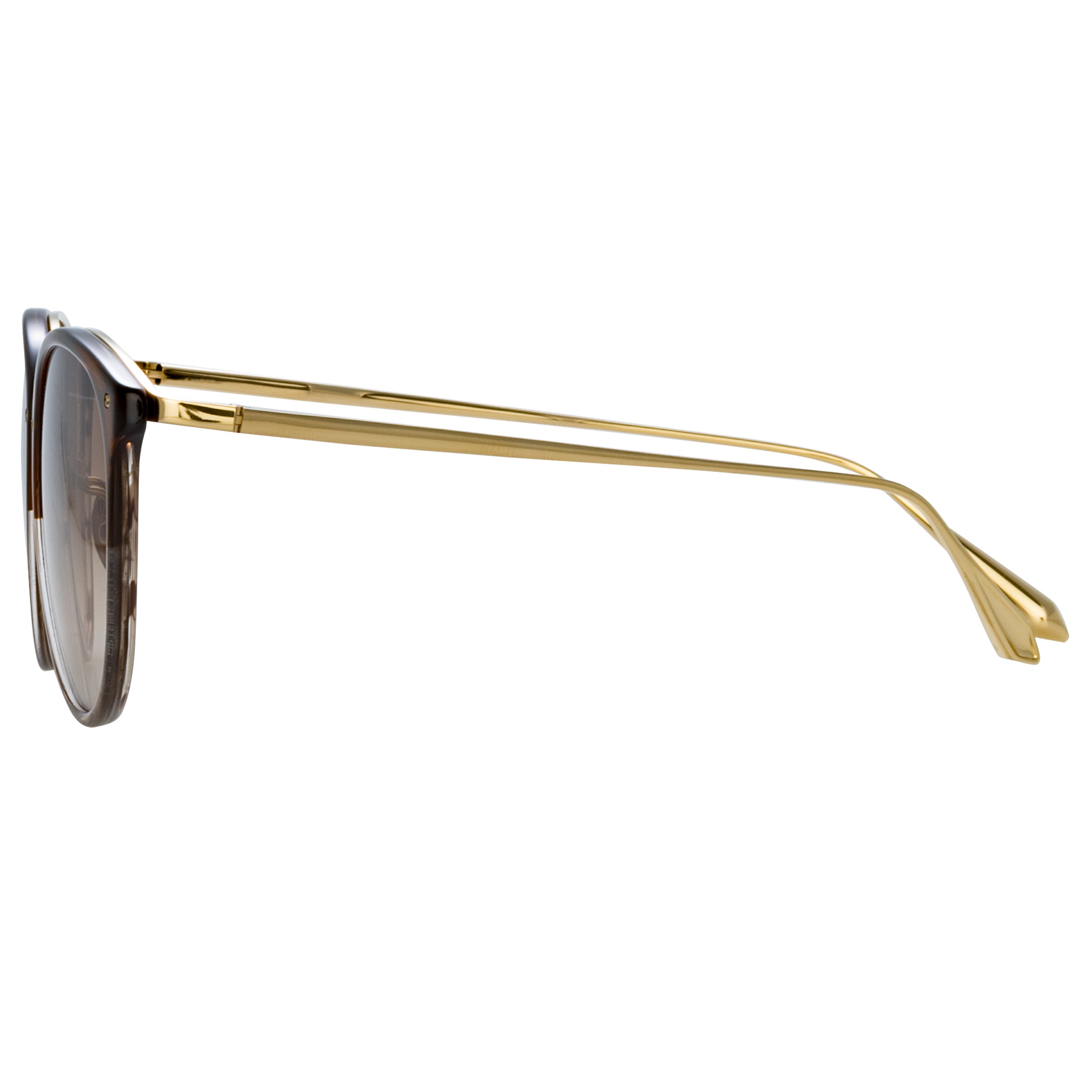 Calthorpe Sunglasses in Caramel Horn