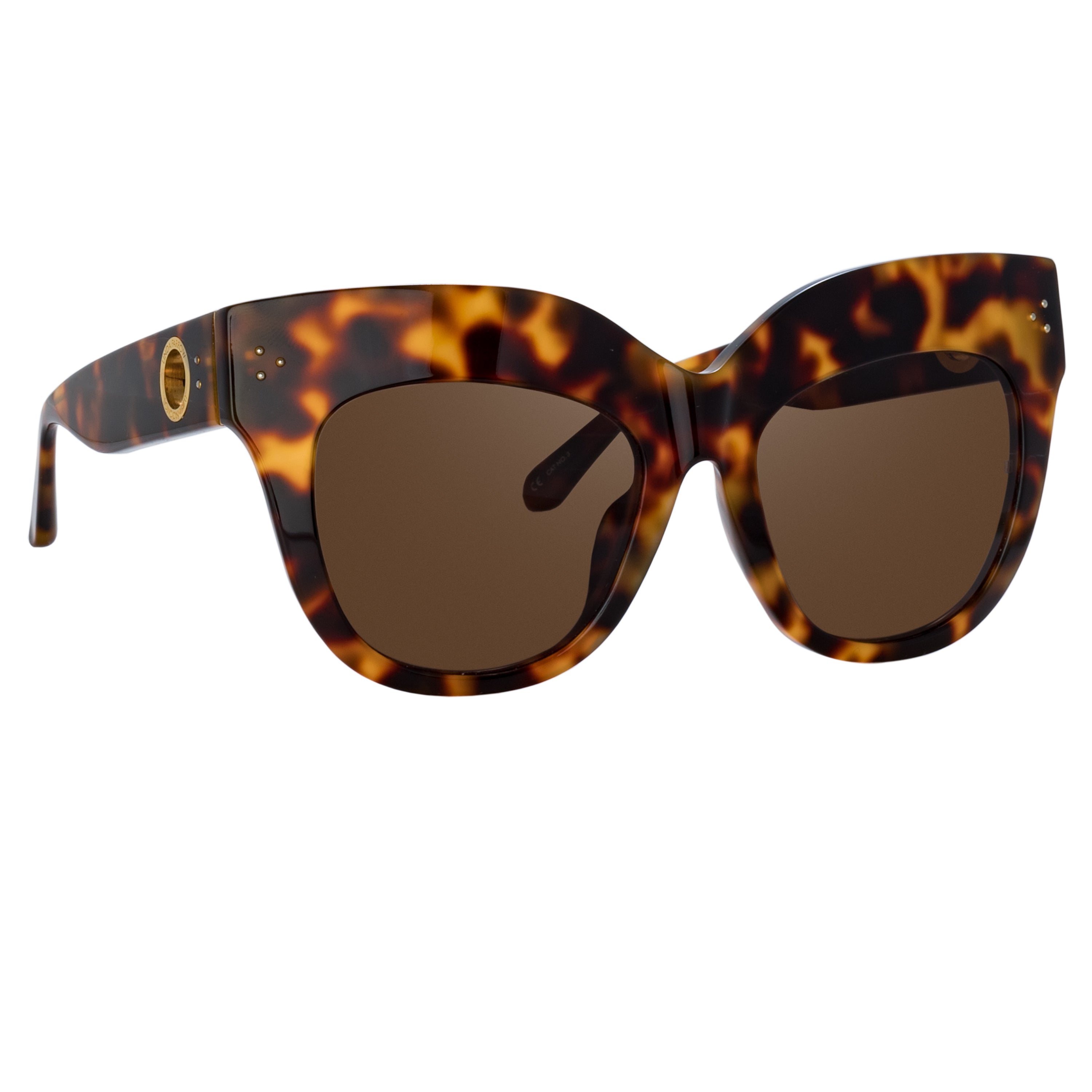 Dunaway Sunglasses in Tortoiseshell Frame