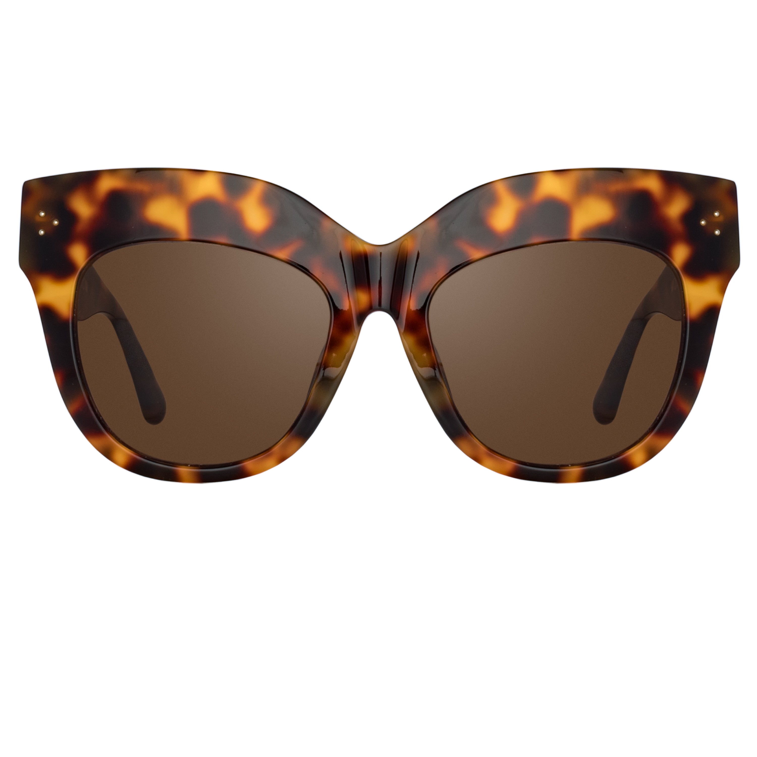 Dunaway Sunglasses in Tortoiseshell Frame