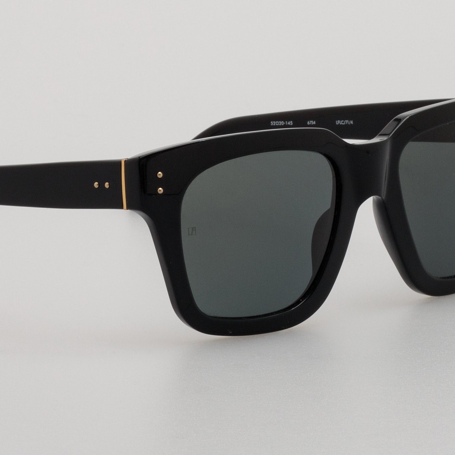 Max Sunglasses in Black Frame