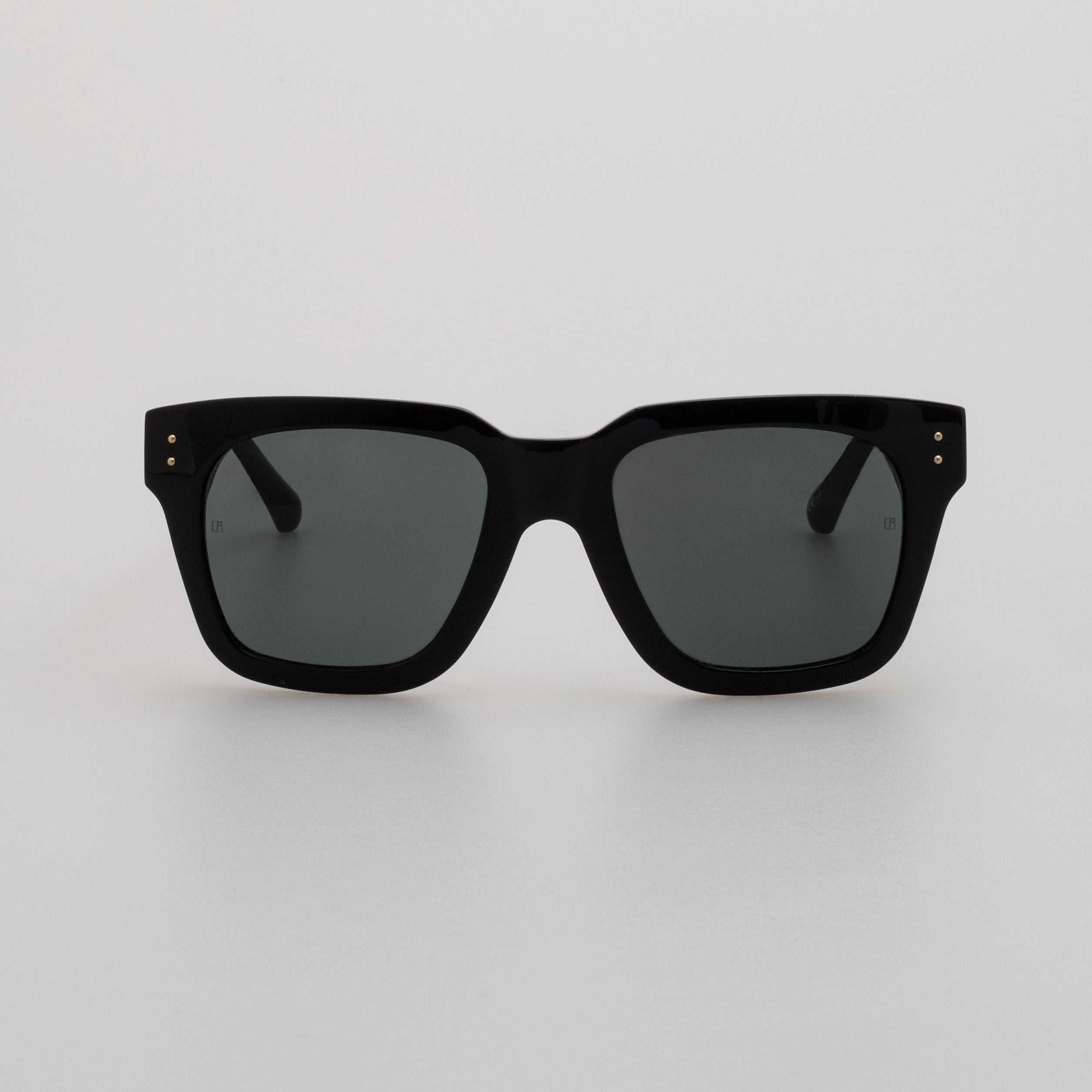 Max Sunglasses in Black Frame
