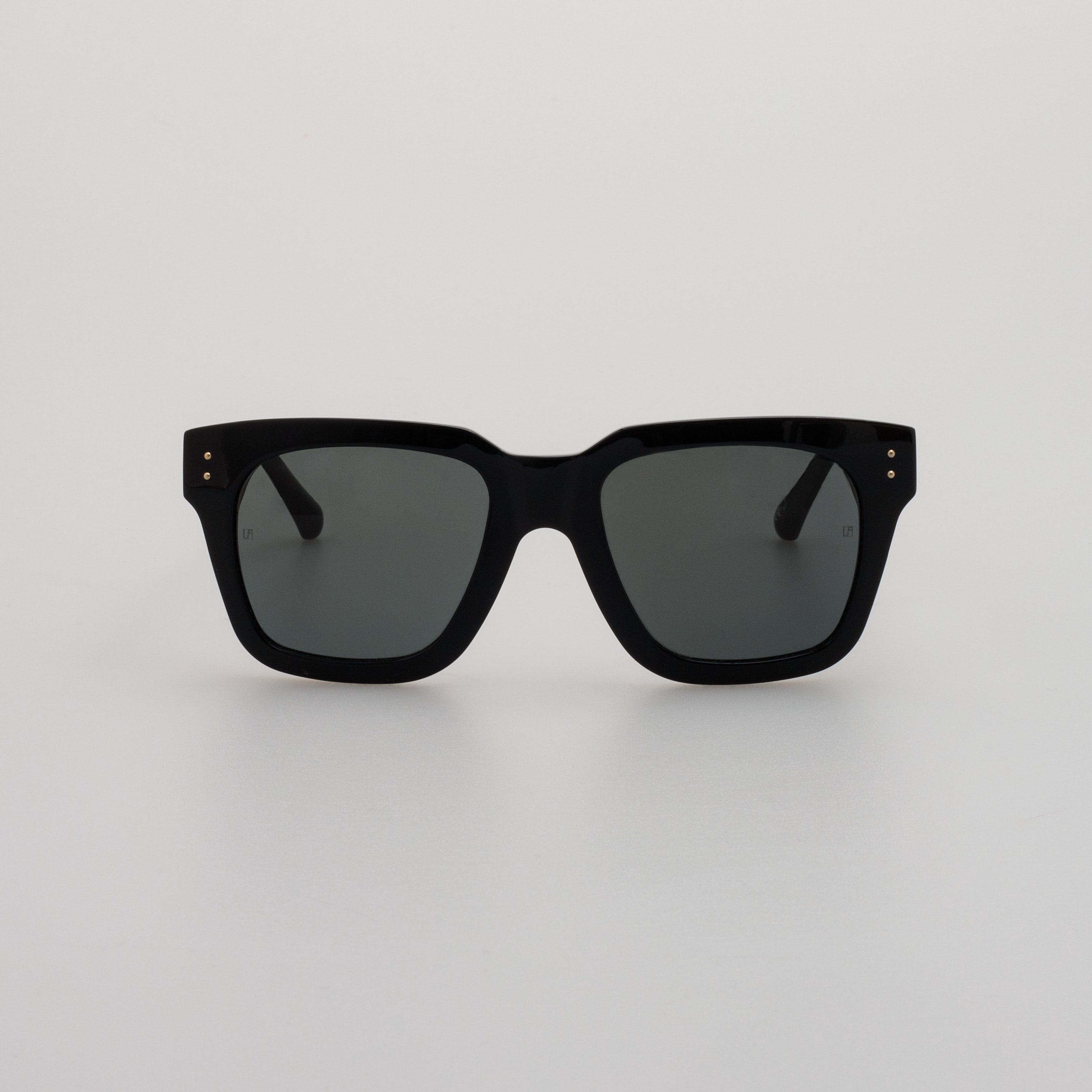 Max Sunglasses in Black Frame