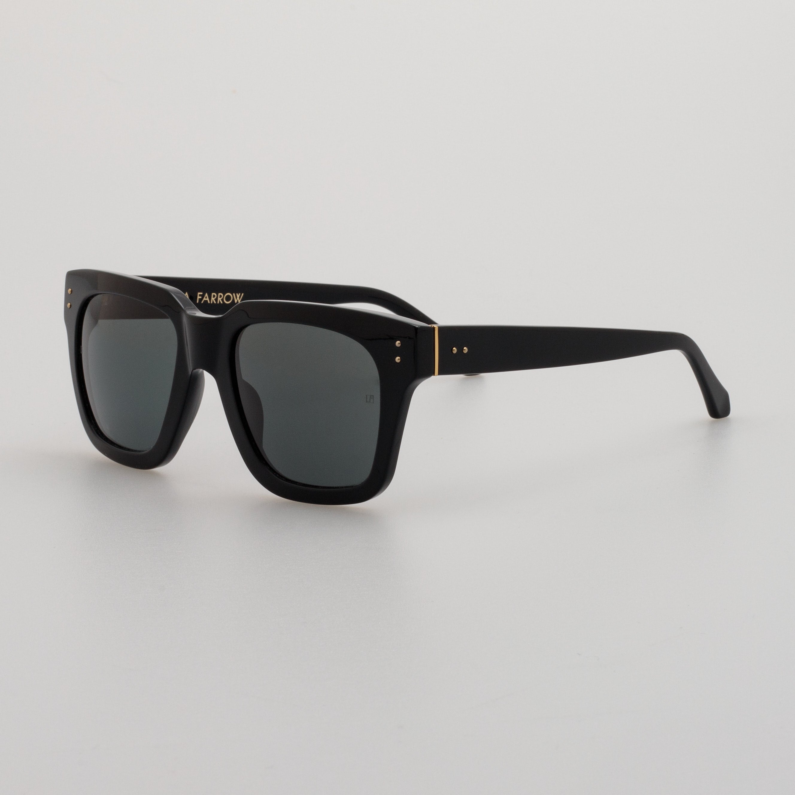 Max Sunglasses in Black Frame