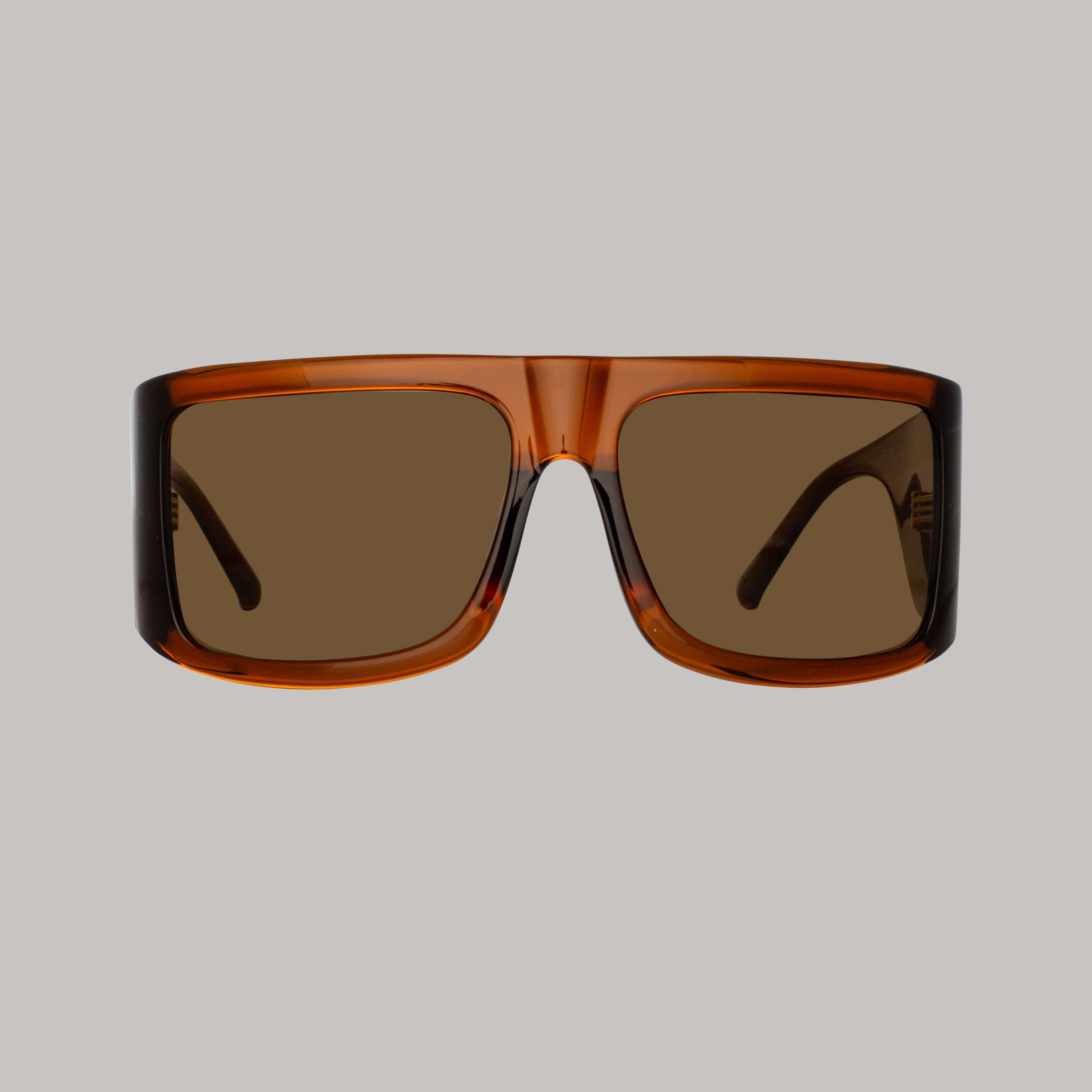 Andre Oversized Sunglasses in Brown