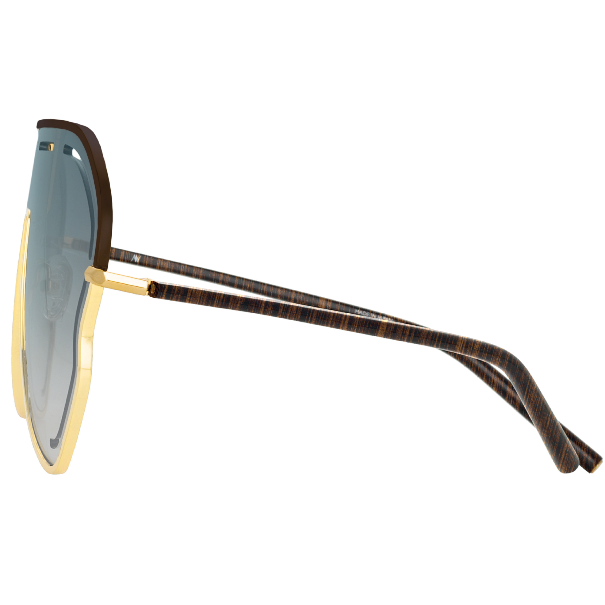 Gardenia Sunglasses in Aqua