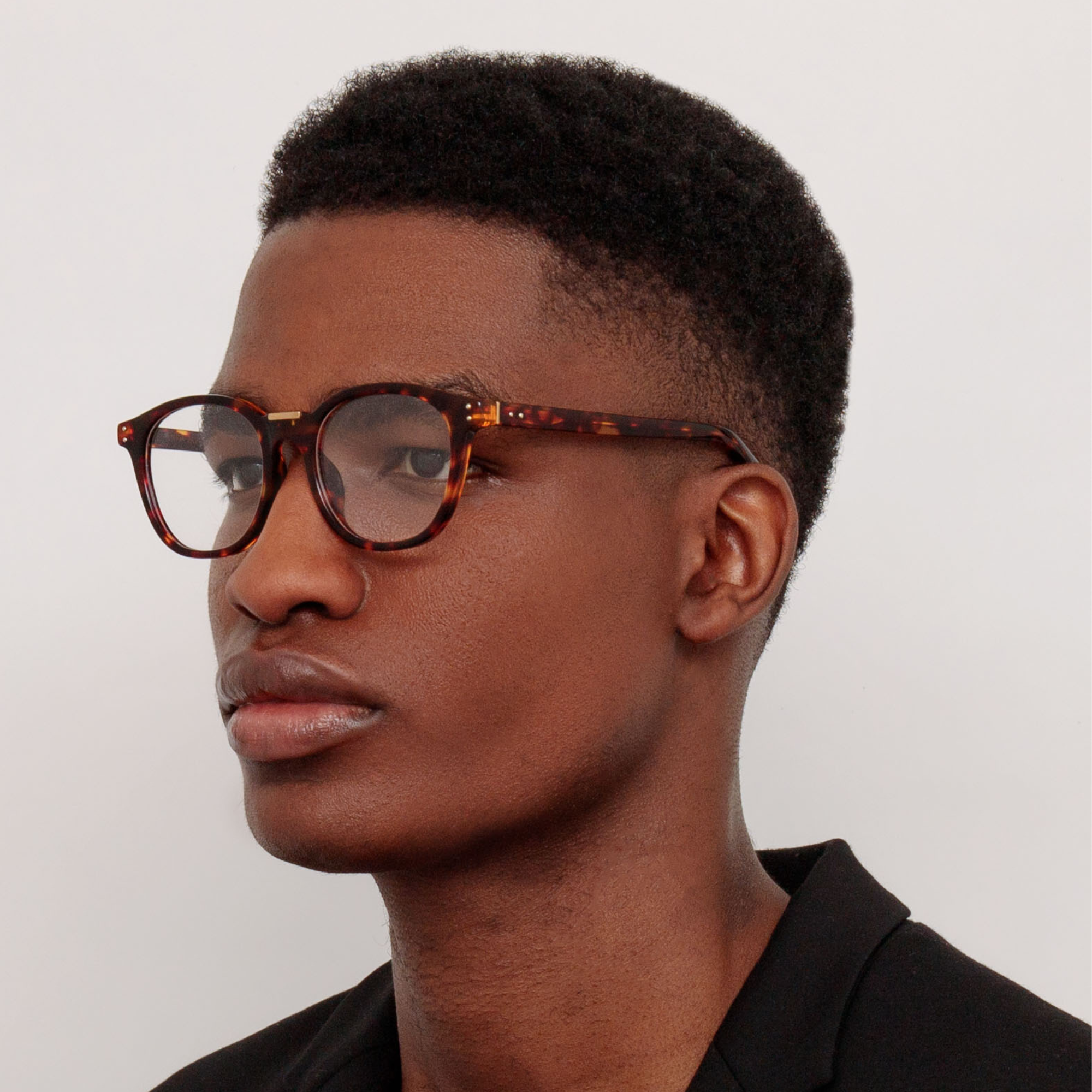 Powell Optical in Tortoiseshell