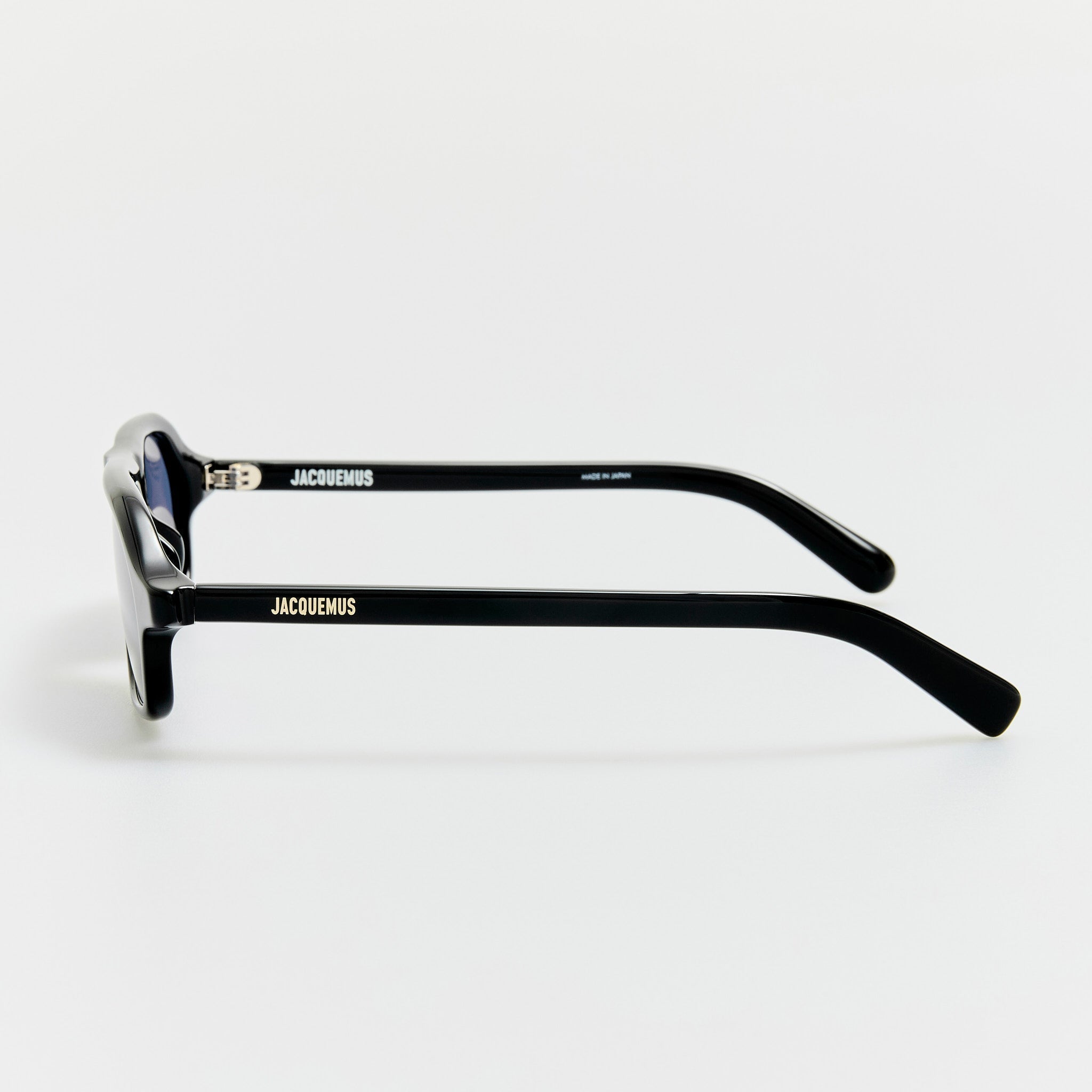 Becane Sunglasses in Black - LINDA FARROW - Sunglasses - 