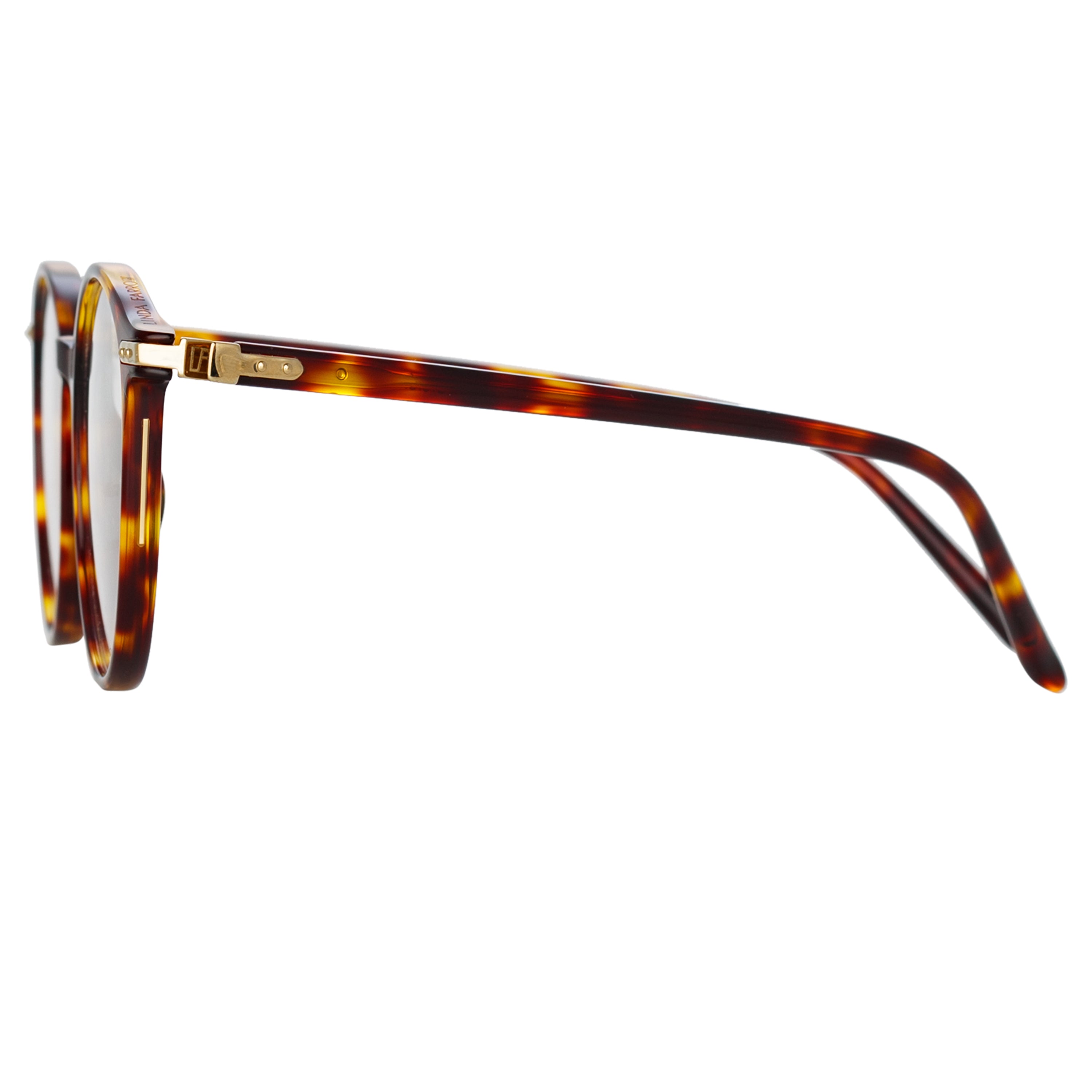 Forster Optical Frame in Tortoiseshell