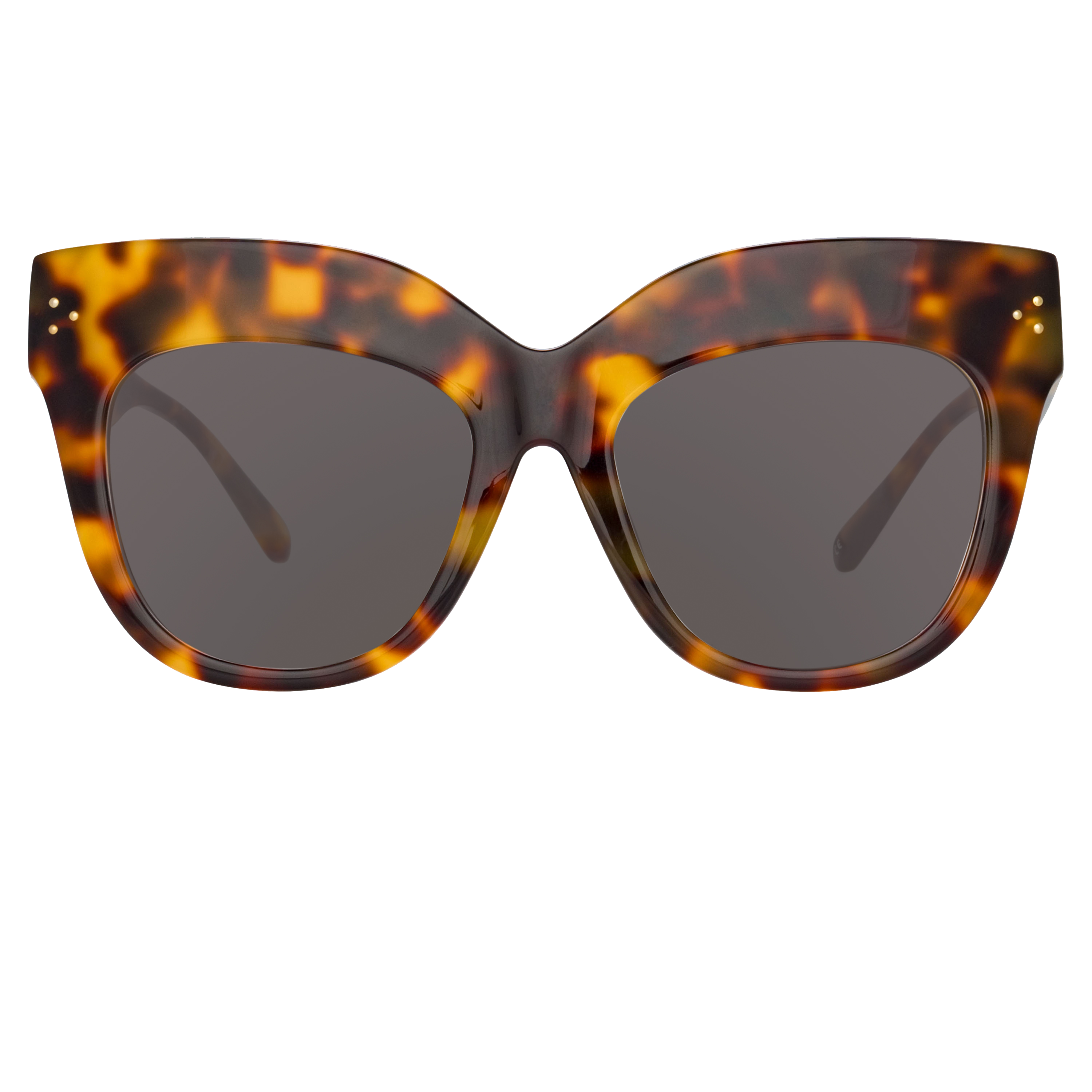 Dunaway Sunglasses in Tortoiseshell Frame