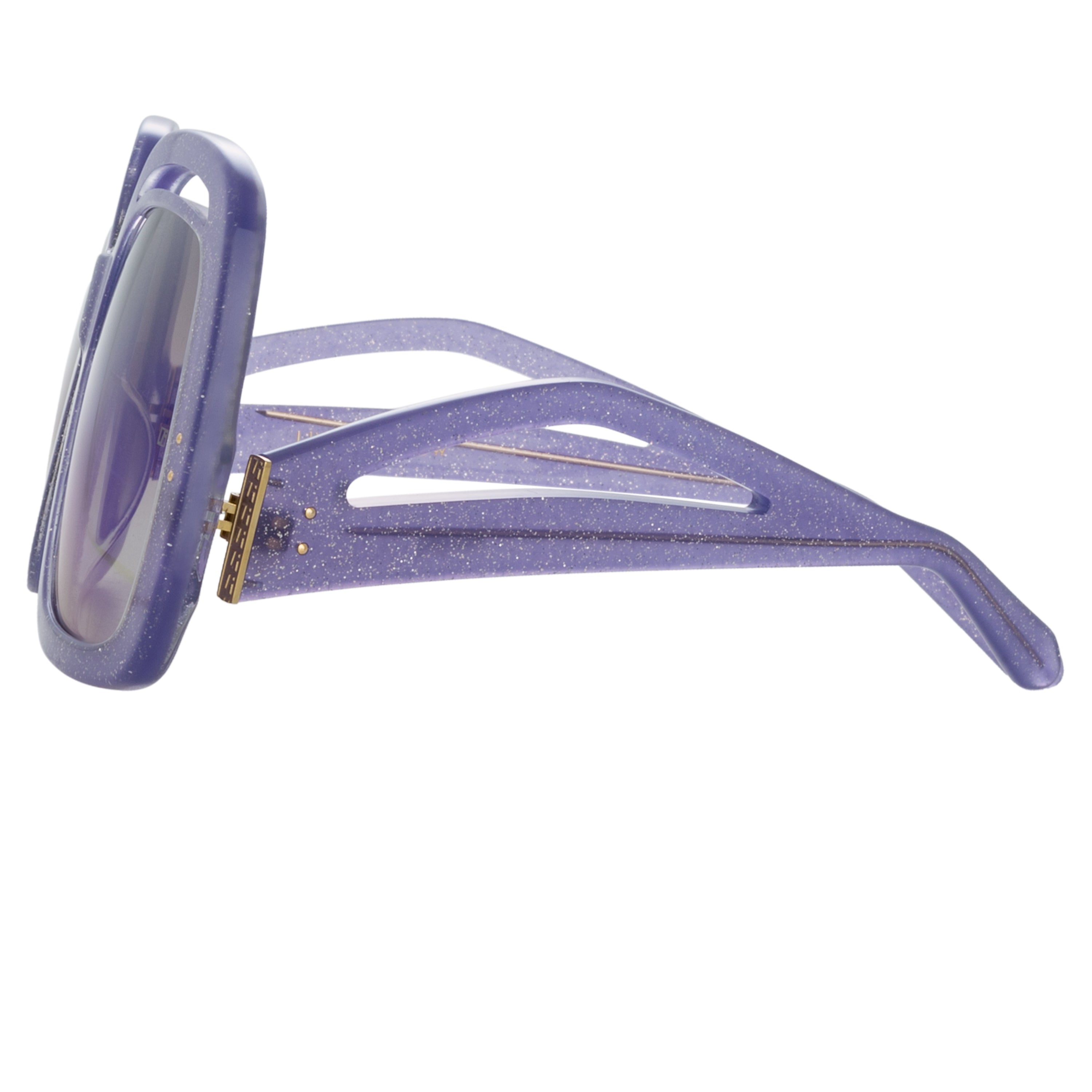 Renata Sunglasses in Purple