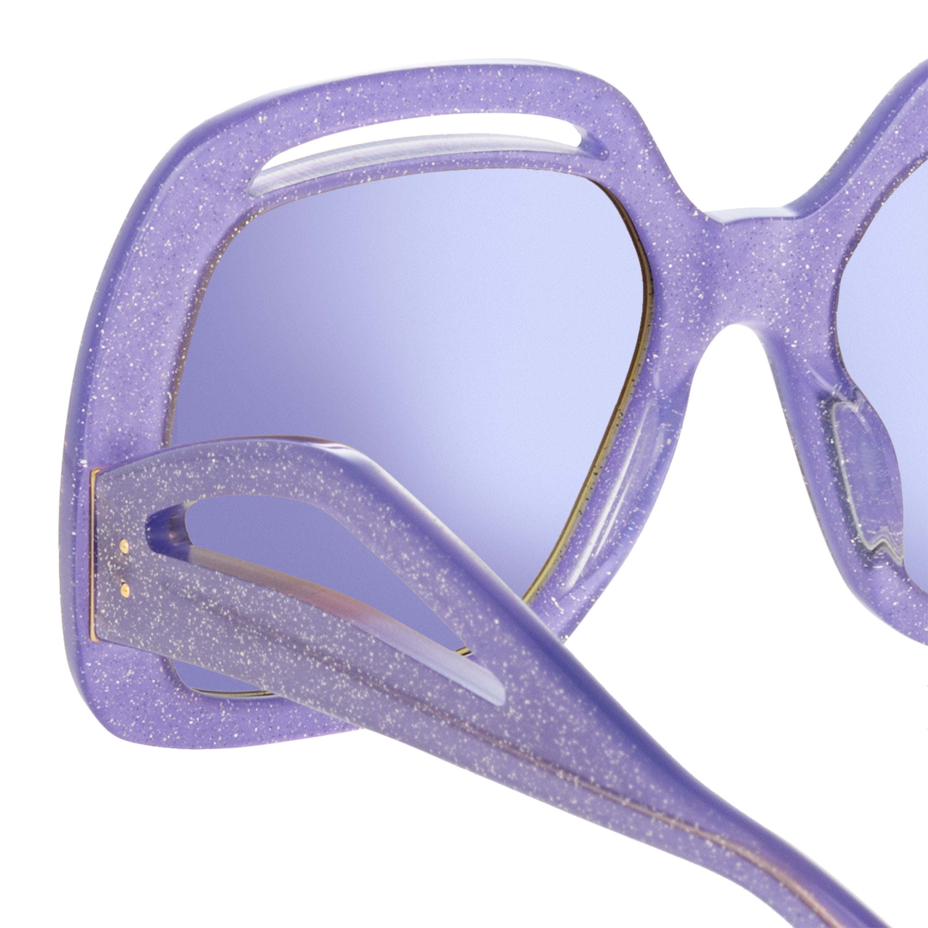 Renata Sunglasses in Purple