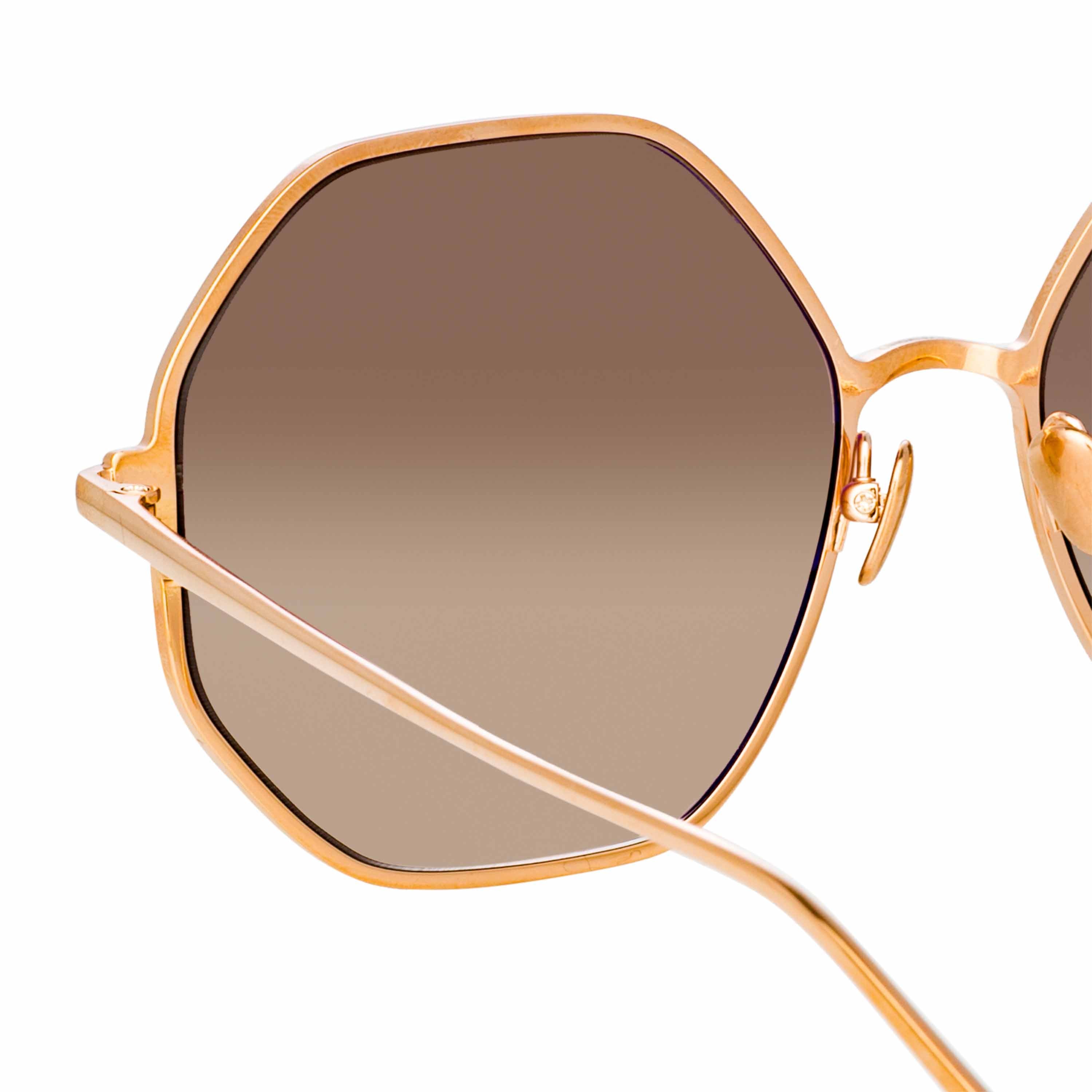 Leif Oversized Sunglasses in Rose Gold and Brown