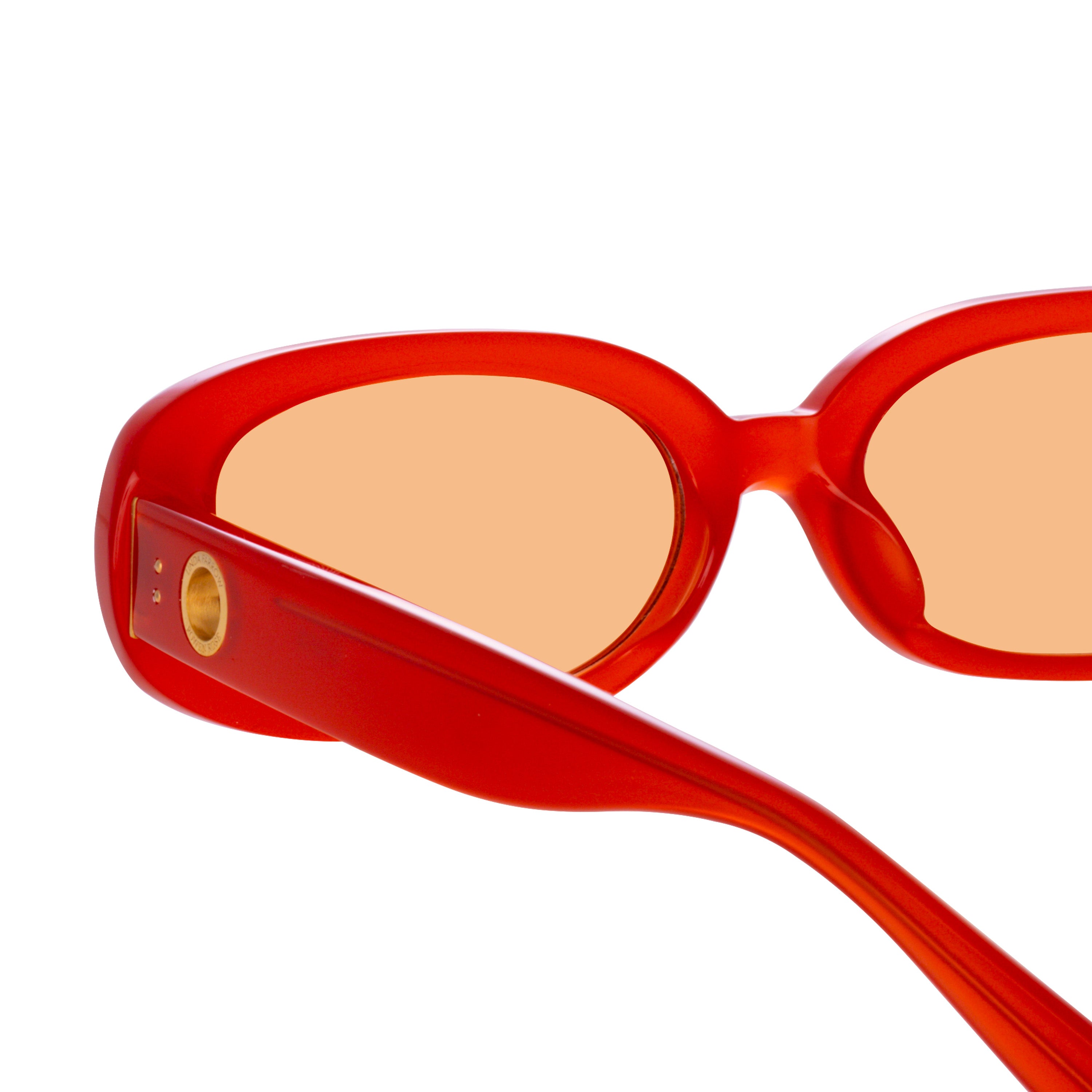 Cara Sunglasses in Terracotta