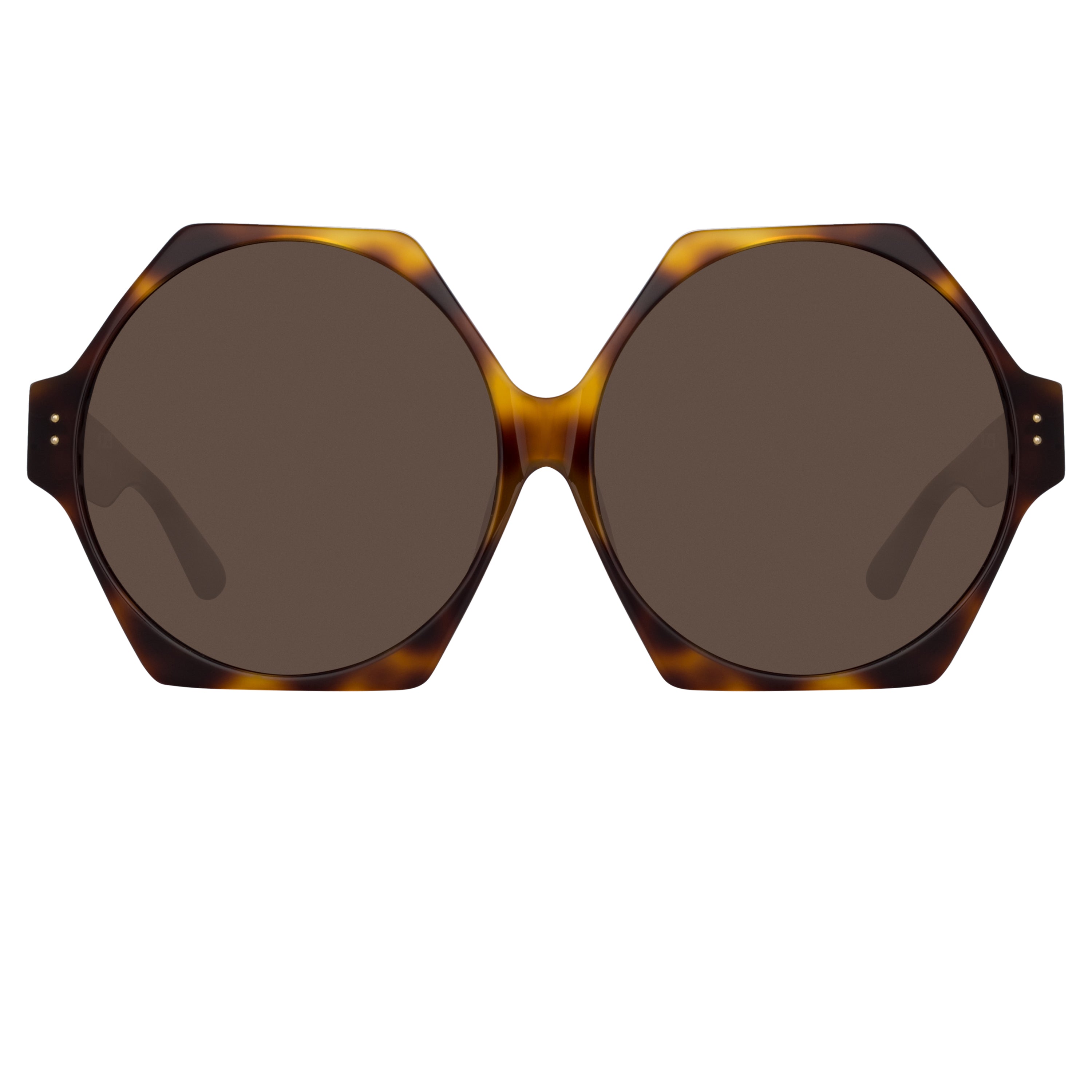 Bora Hexagon Sunglasses in Tortoiseshell