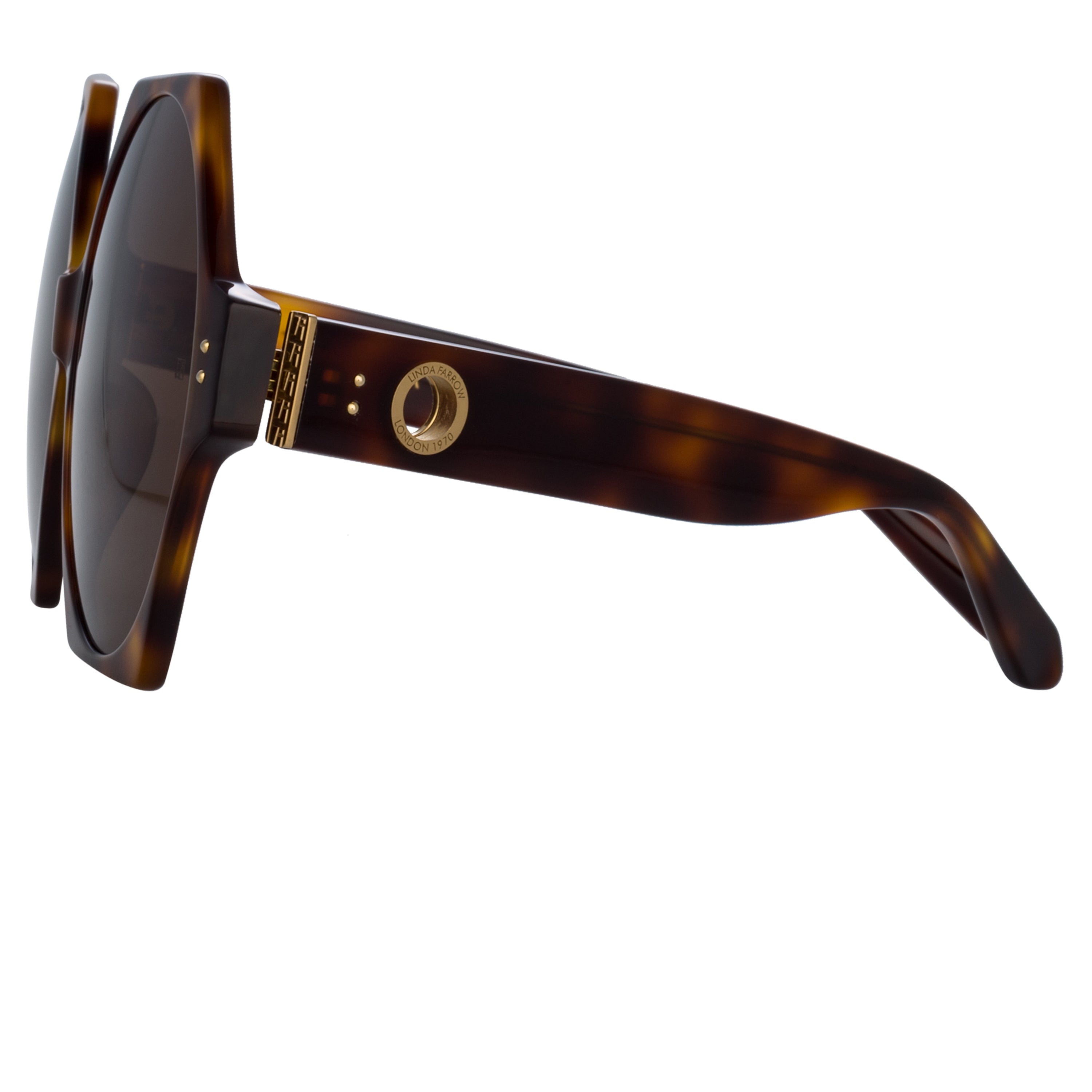 Bora Hexagon Sunglasses in Tortoiseshell