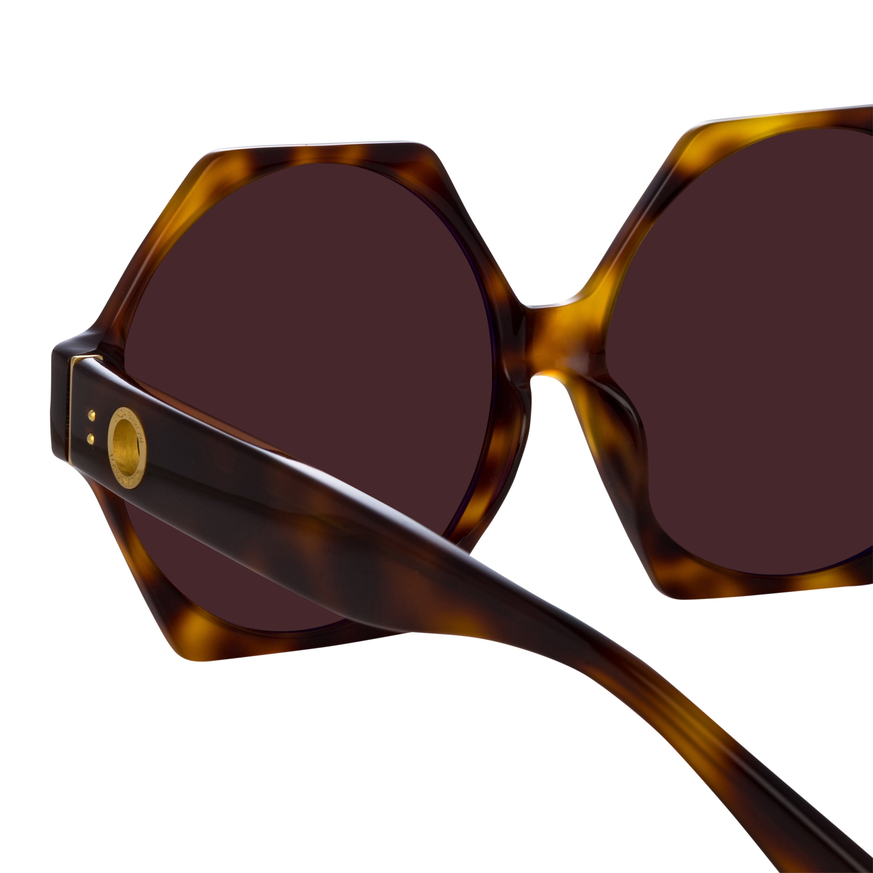 Bora Hexagon Sunglasses in Tortoiseshell