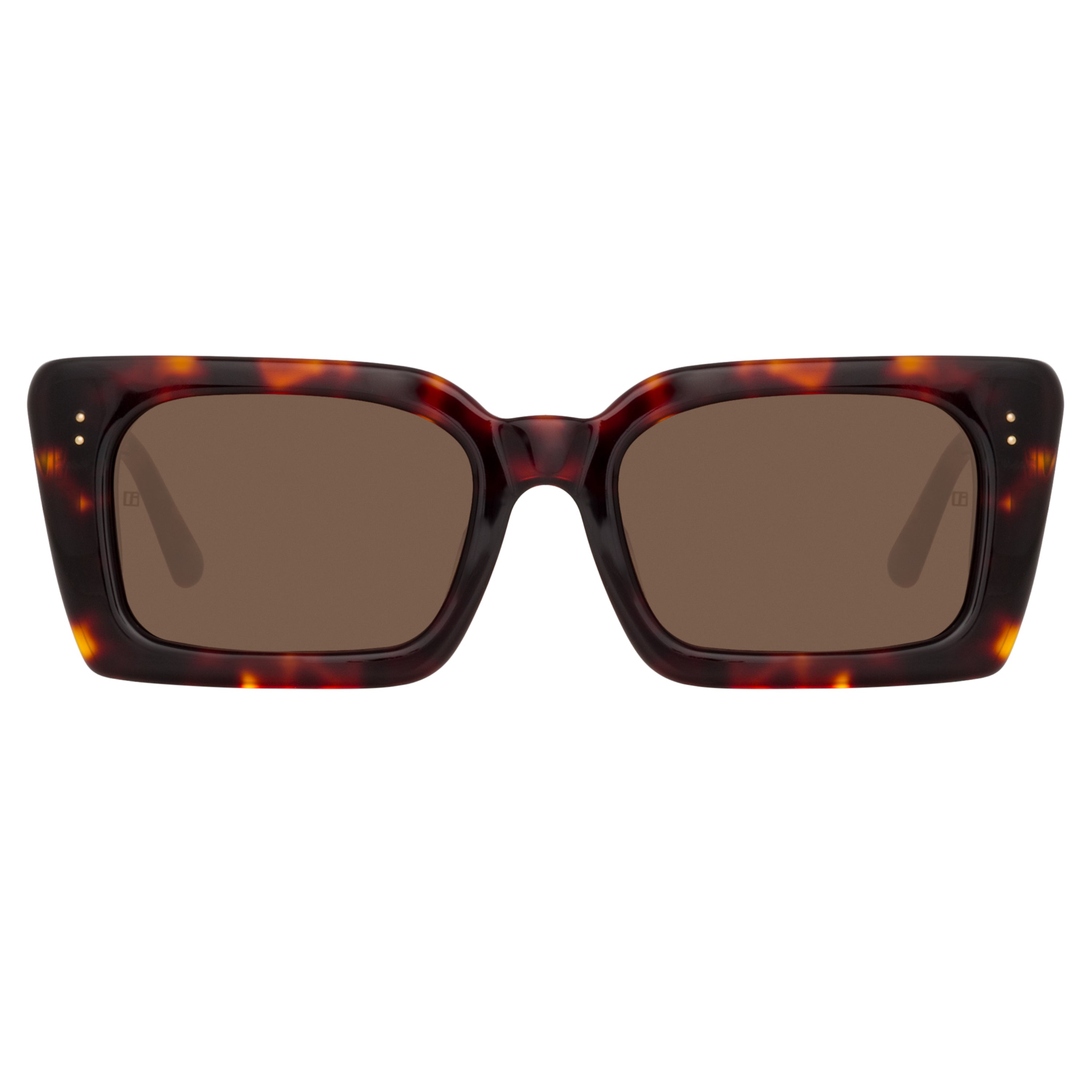 Nieve Sunglasses in Tortoiseshell