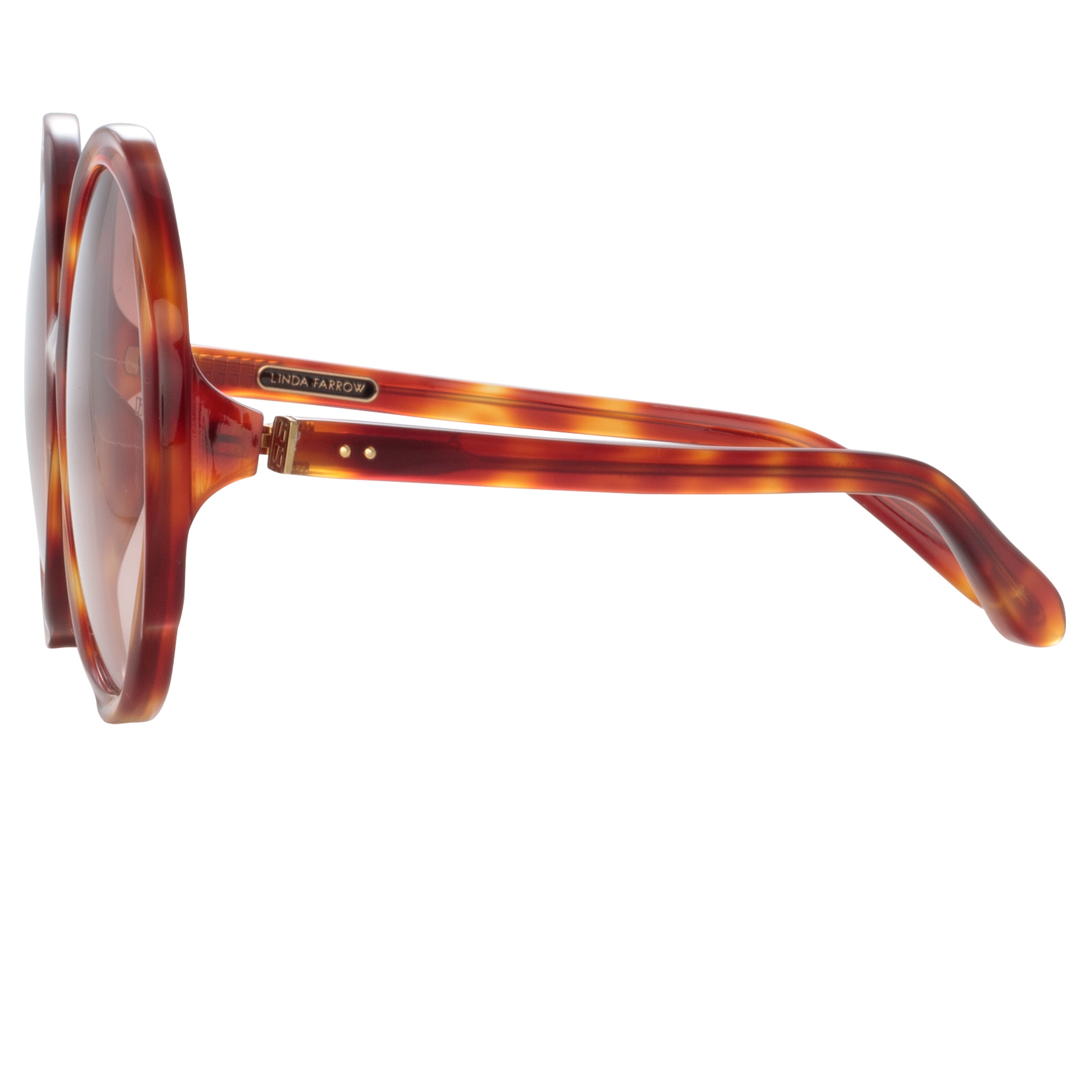 Otavia Sunglasses in Amber Tortoiseshell