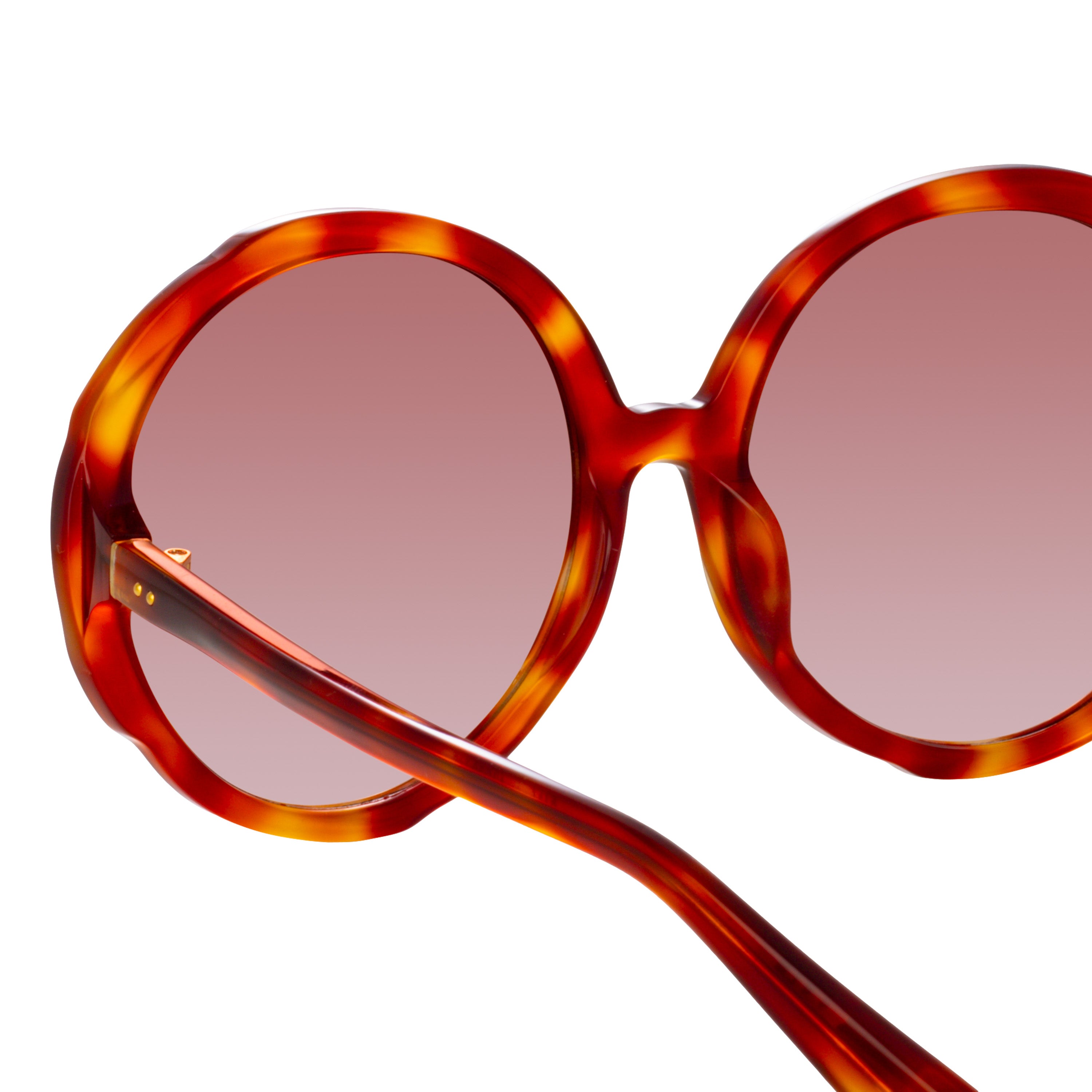 Otavia Sunglasses in Amber Tortoiseshell