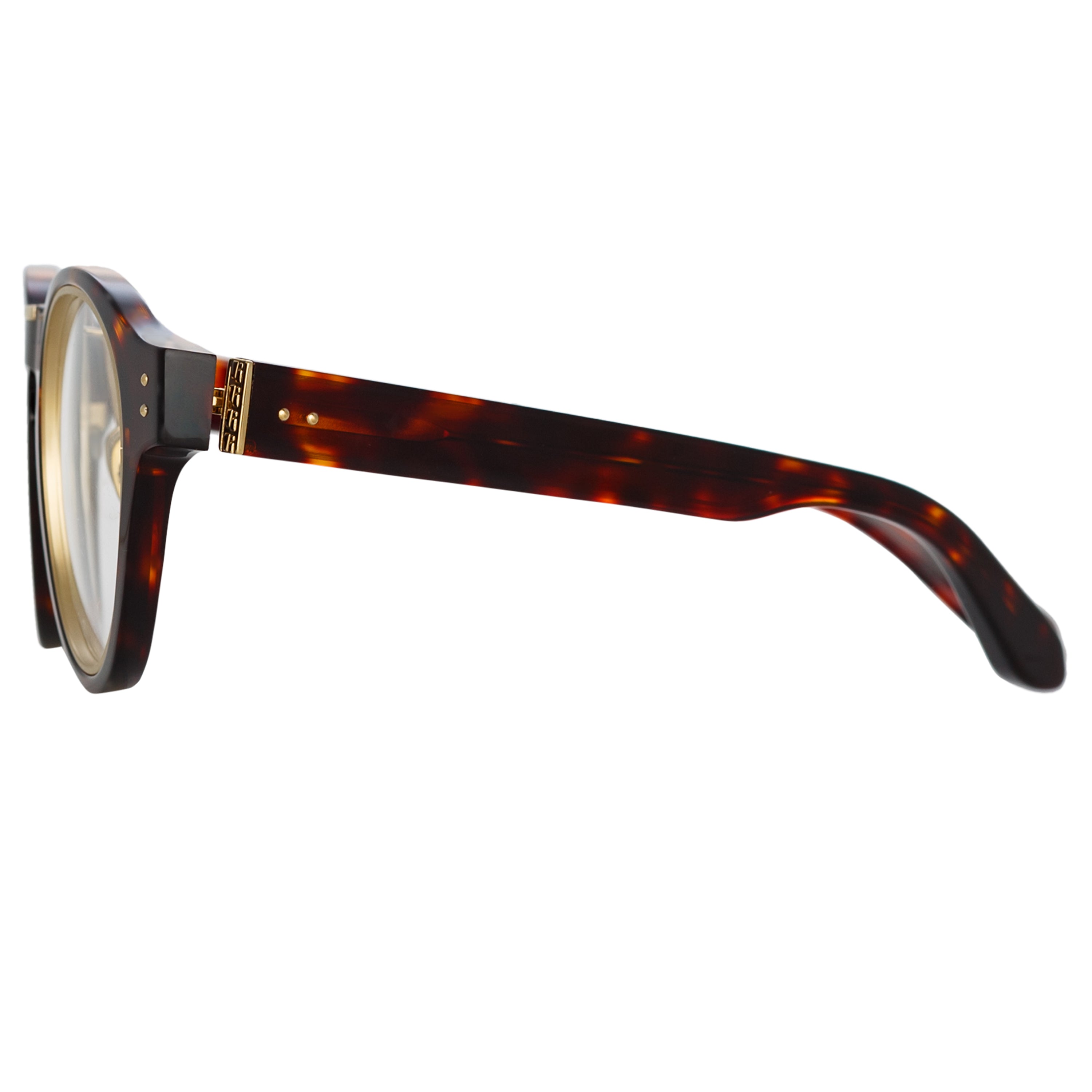 Morris Optical Frame in Tortoiseshell