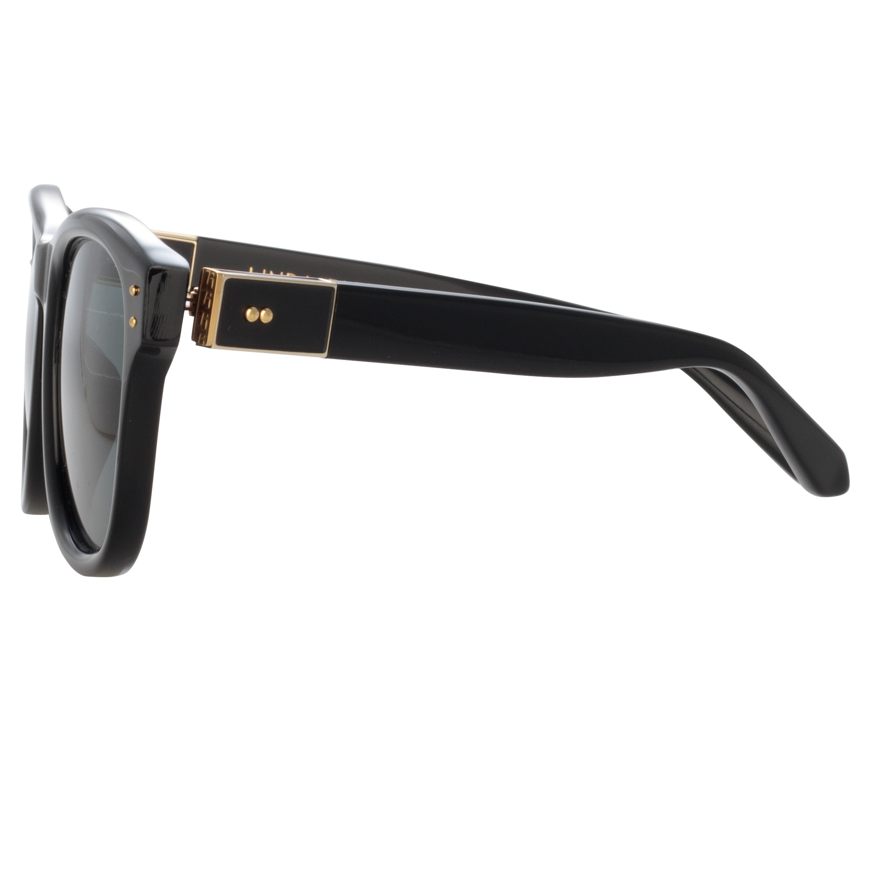 Edson Sunglasses in Black