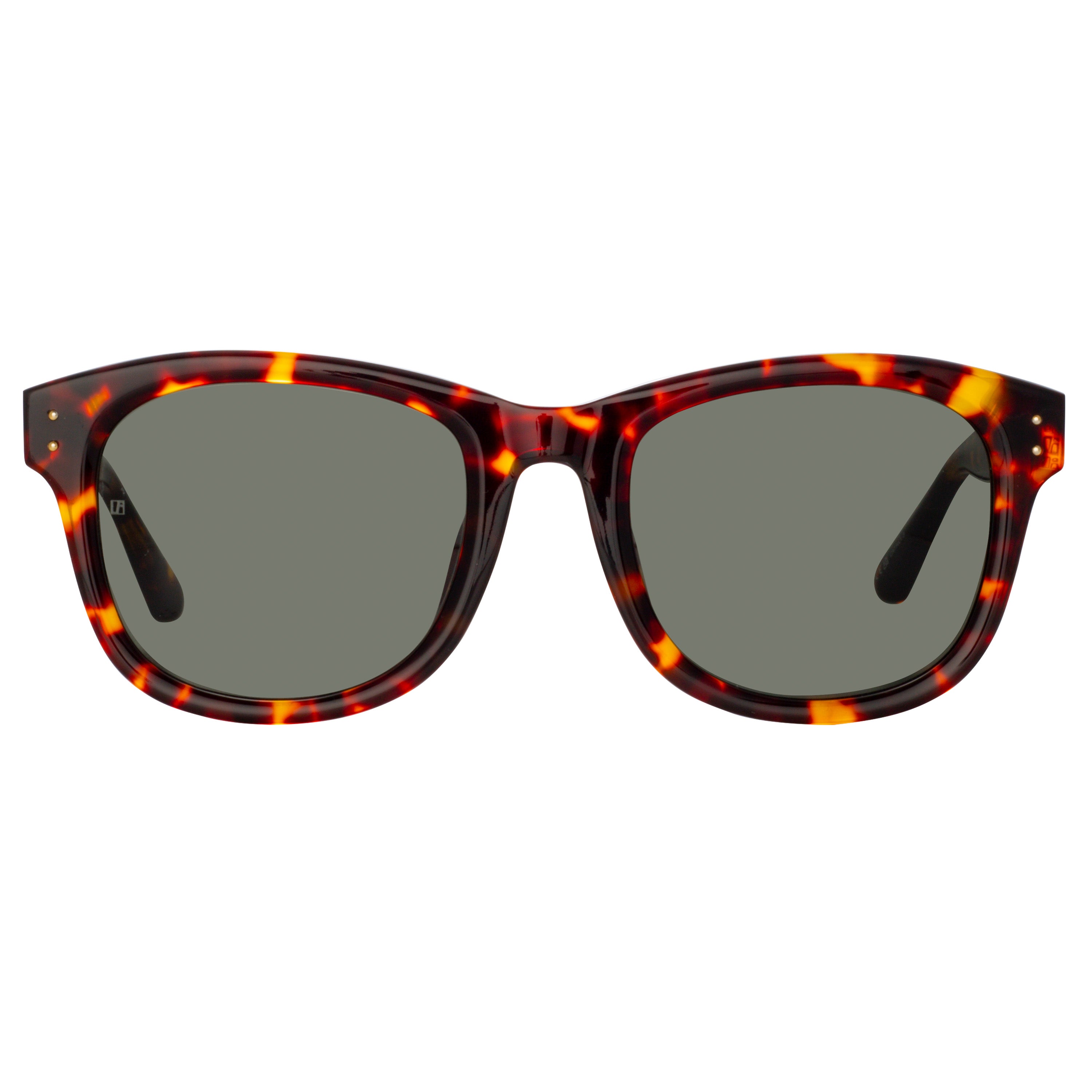 Edson Sunglasses in Tortoiseshell