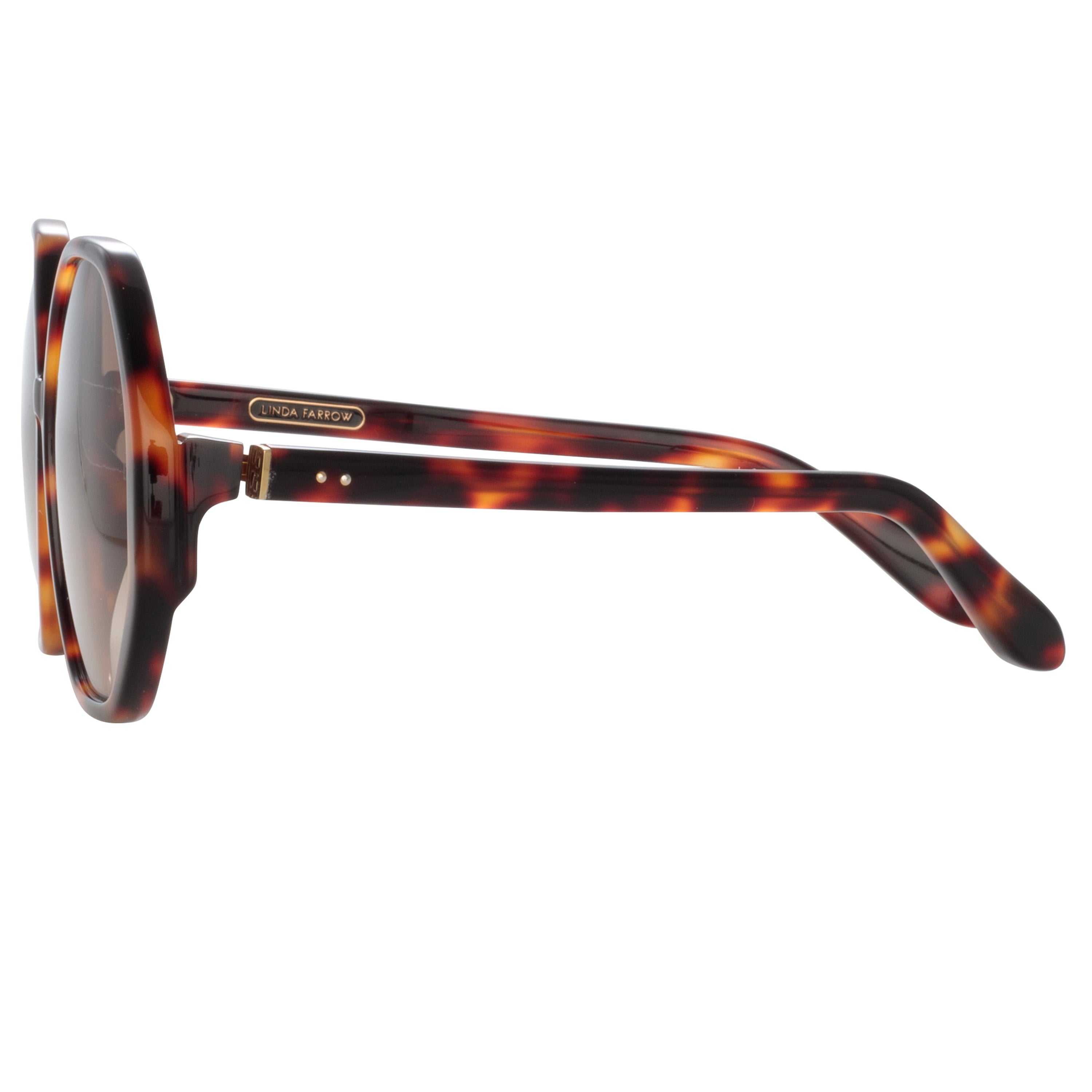 Paloma Sunglasses in Tortoiseshell