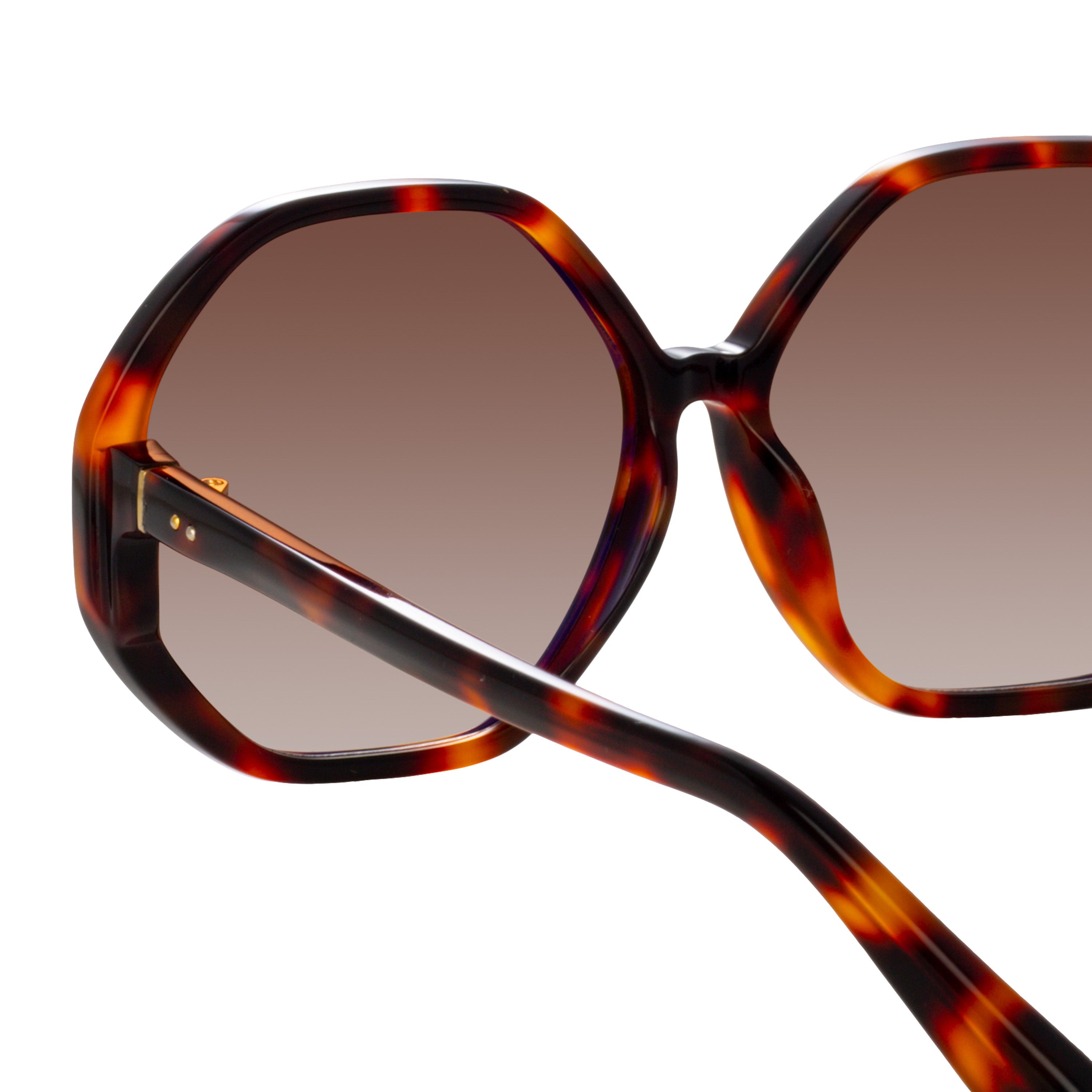 Paloma Sunglasses in Tortoiseshell