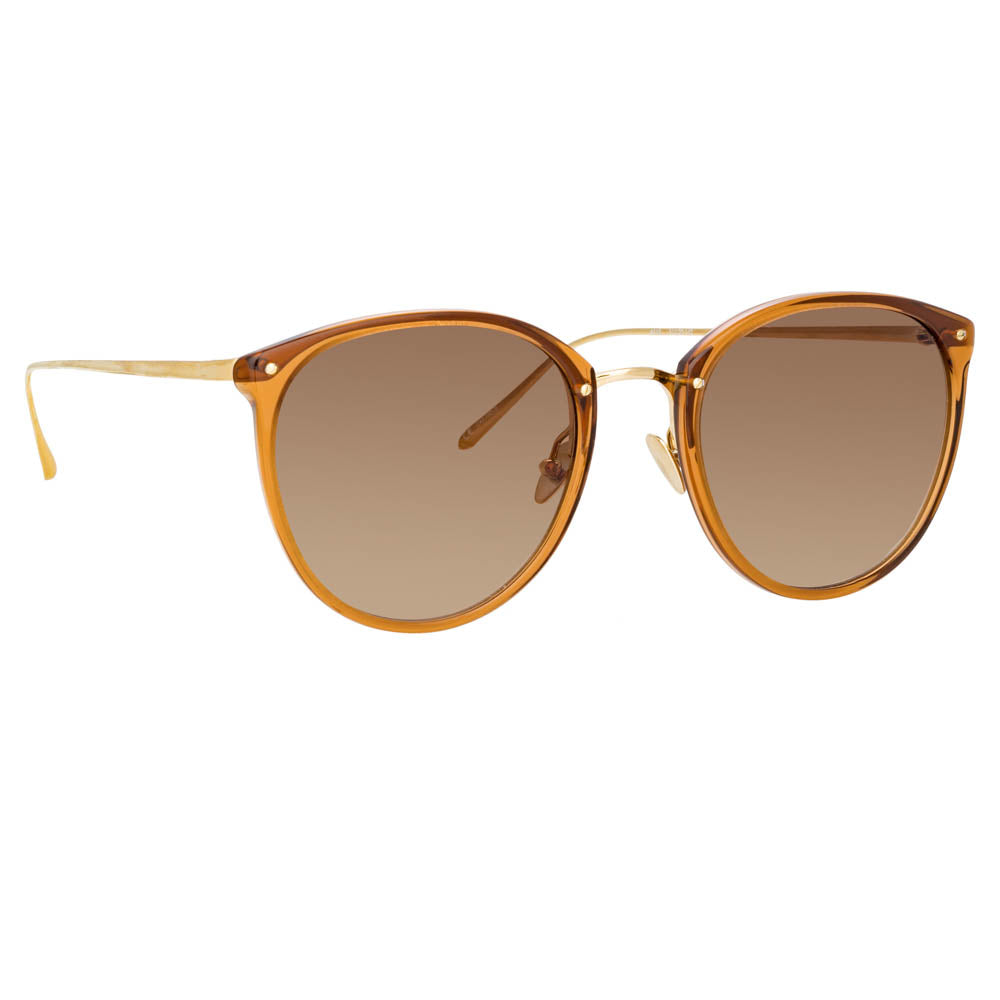 Calthorpe Sunglasses in Brown Frame