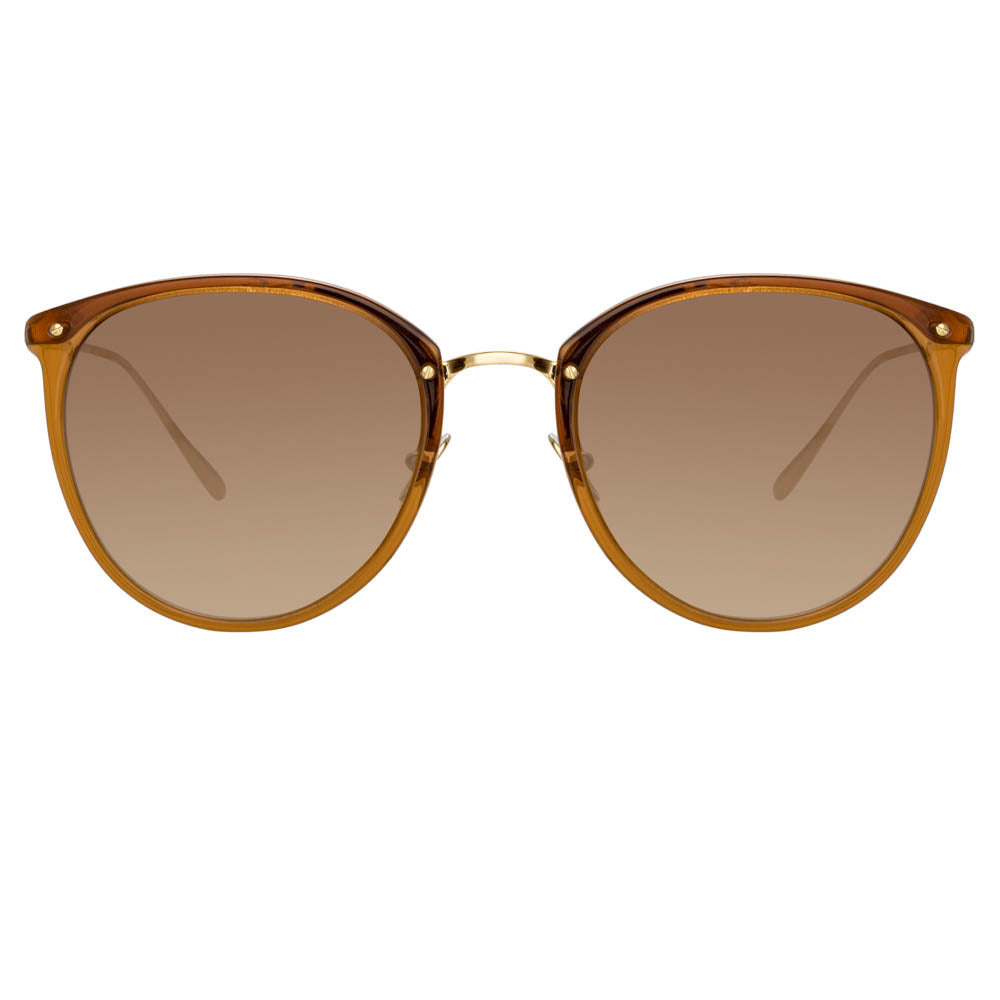 Calthorpe Sunglasses in Brown Frame