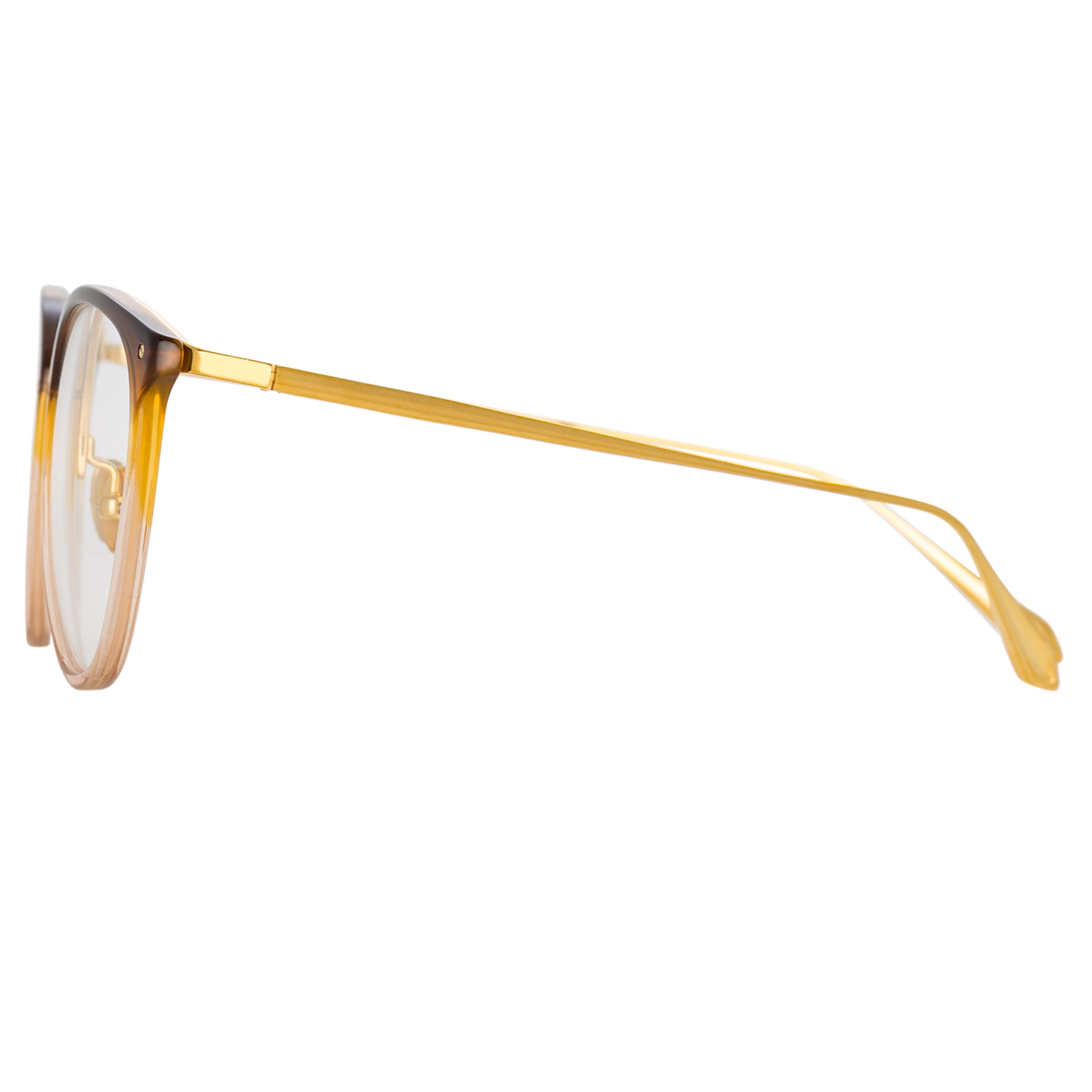 Calthorpe Optical Frame in Brown Gradient