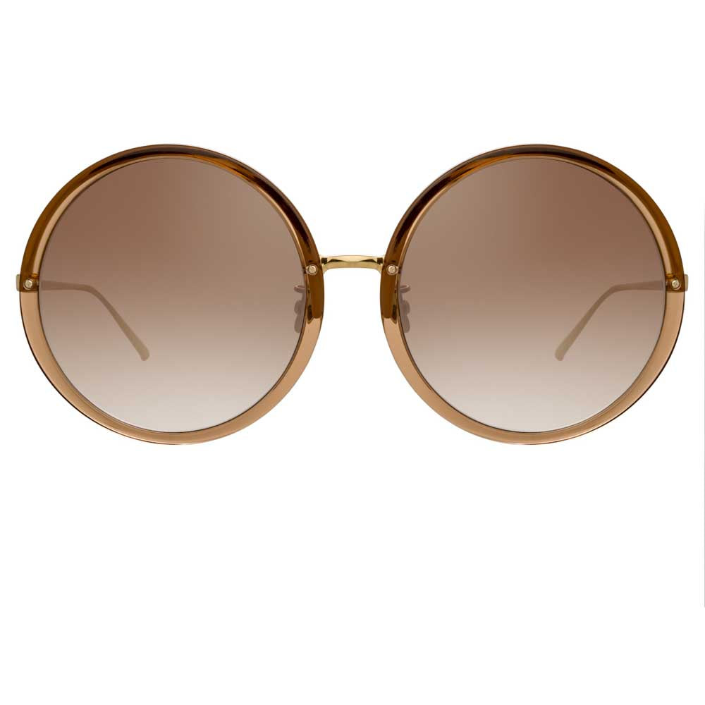 The Kew Oversized Sunglasses in Brown Frame C34