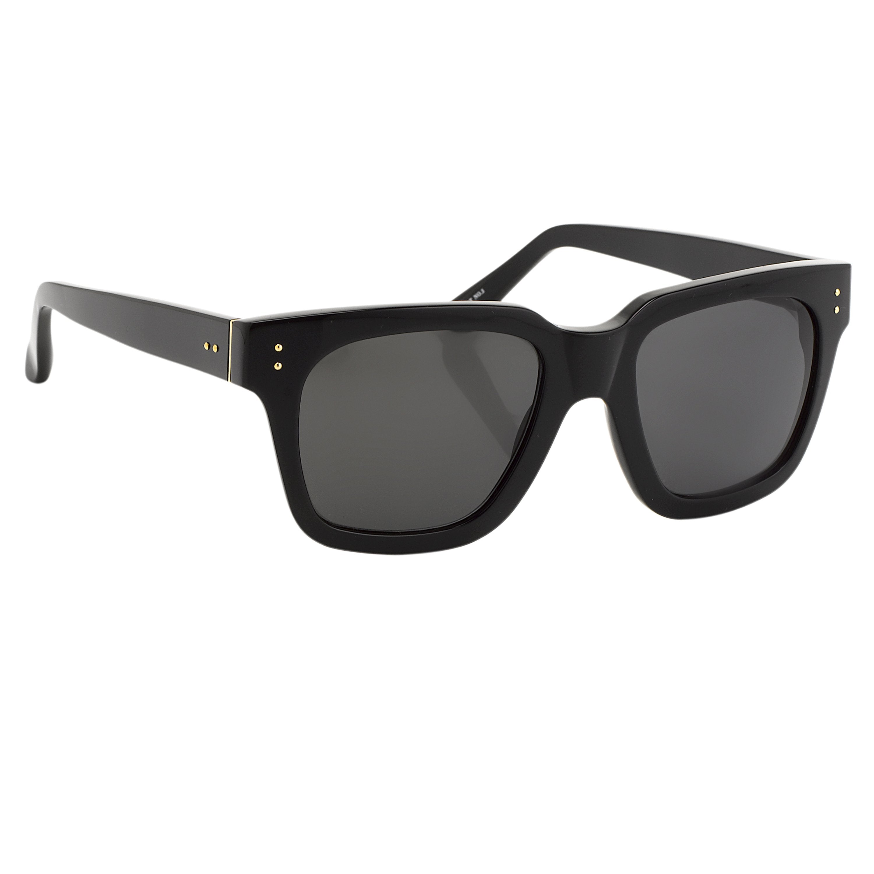 Max Sunglasses in Black Frame