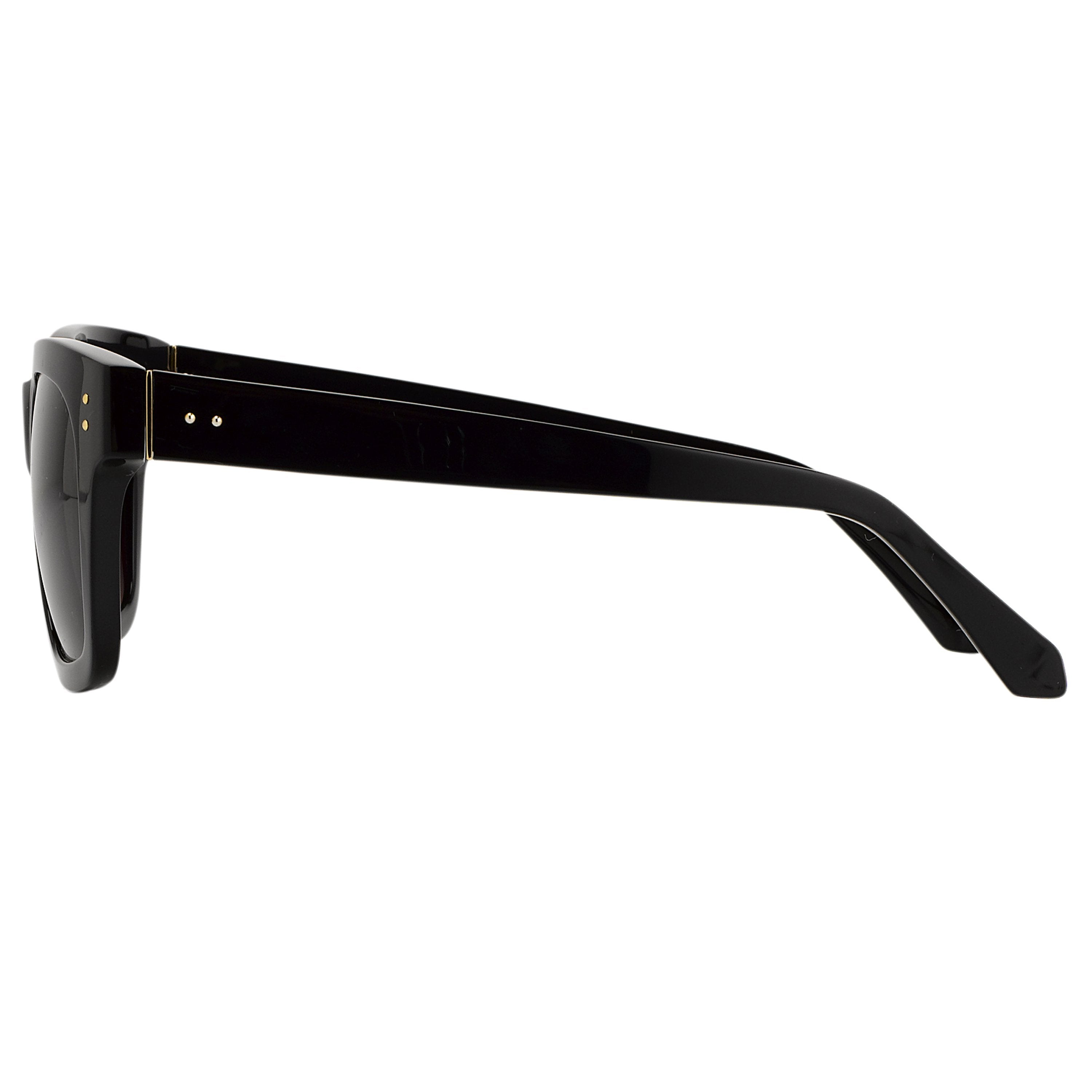 Max Sunglasses in Black Frame