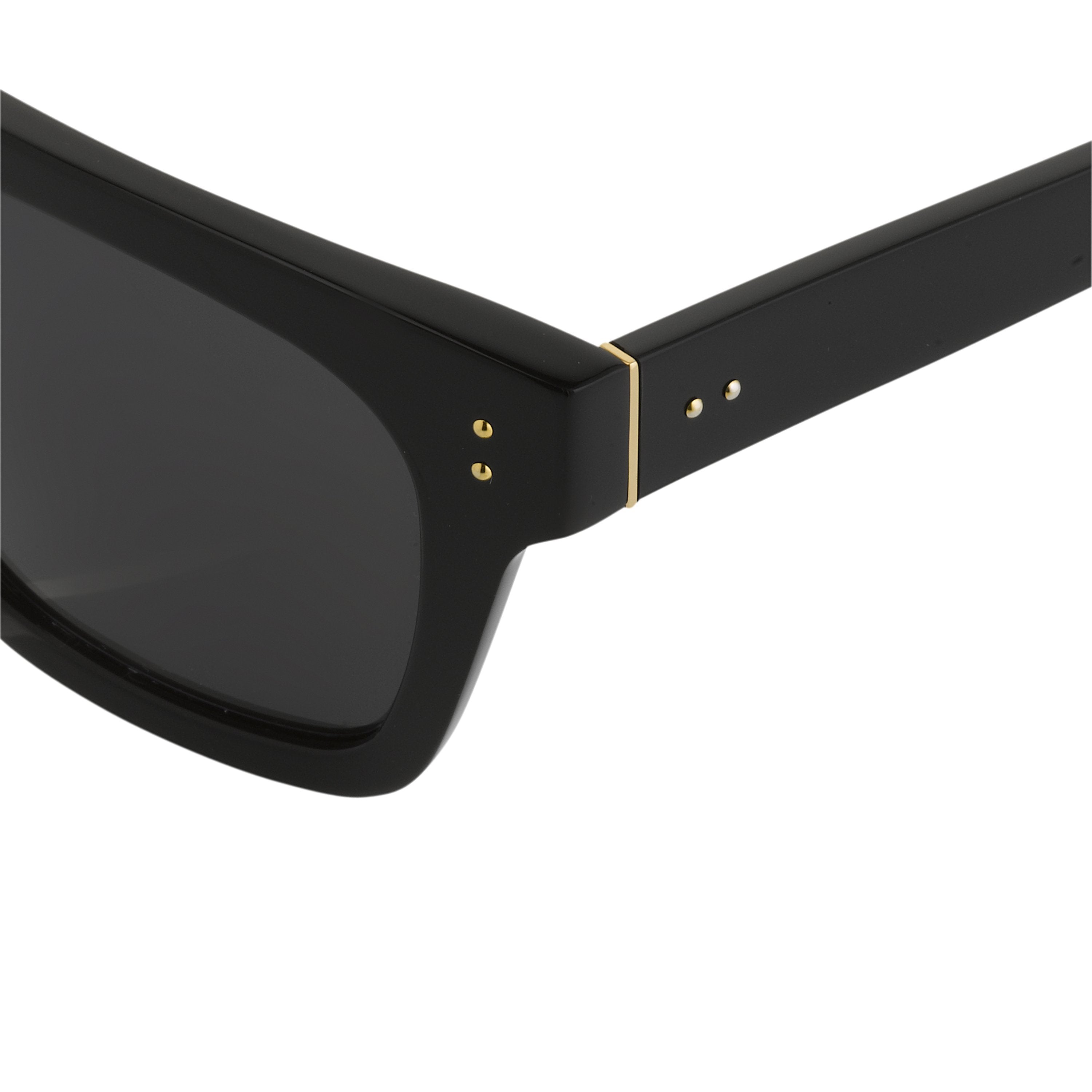 Max Sunglasses in Black Frame