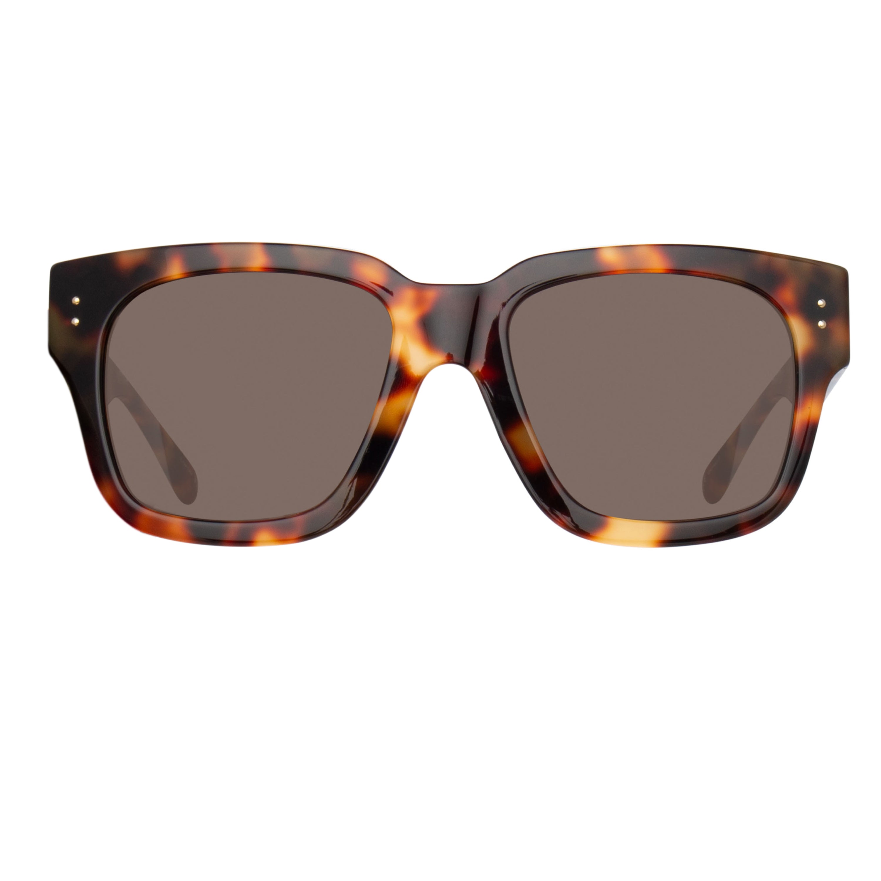 Amber Sunglasses in Tortoiseshell