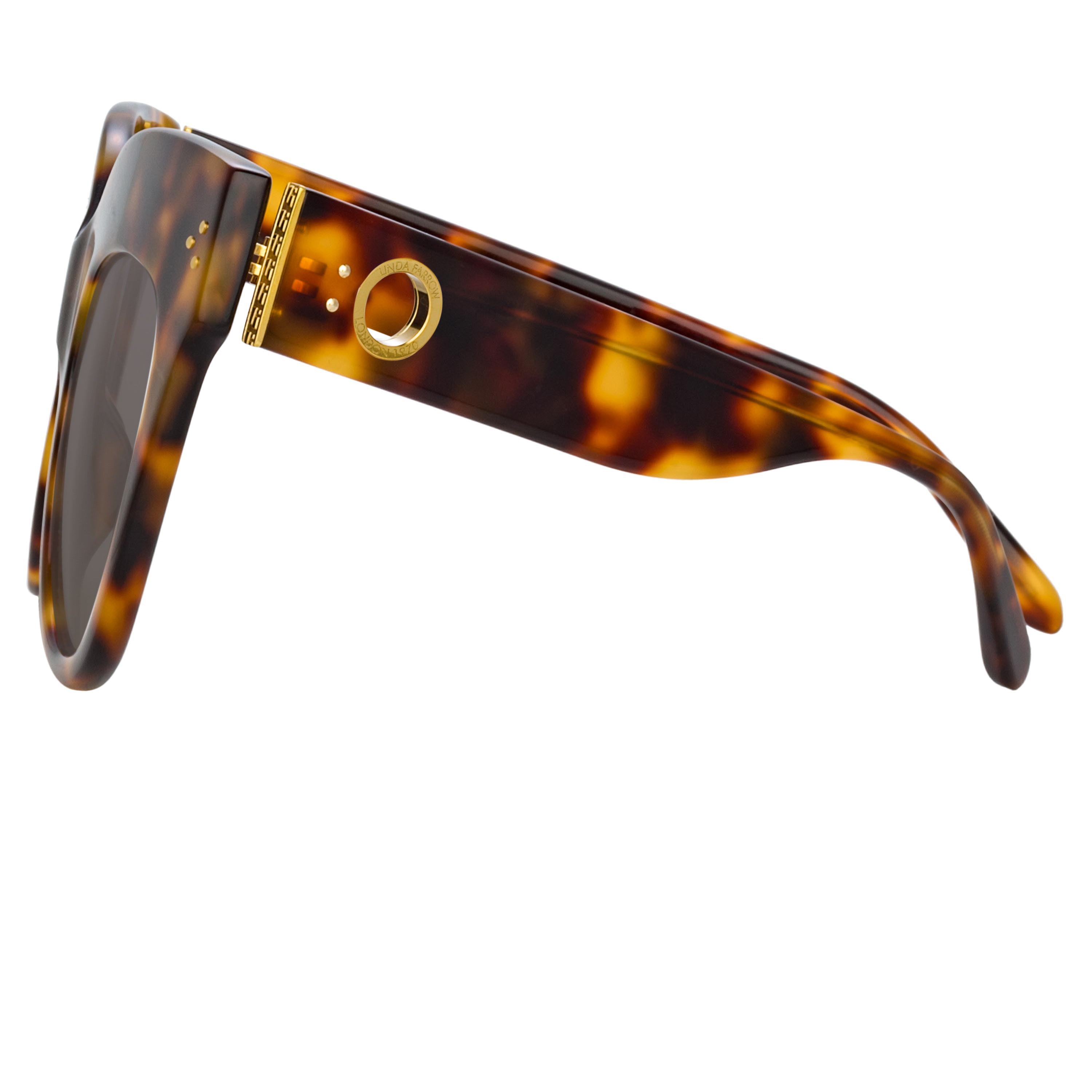 Dunaway Sunglasses in Tortoiseshell Frame