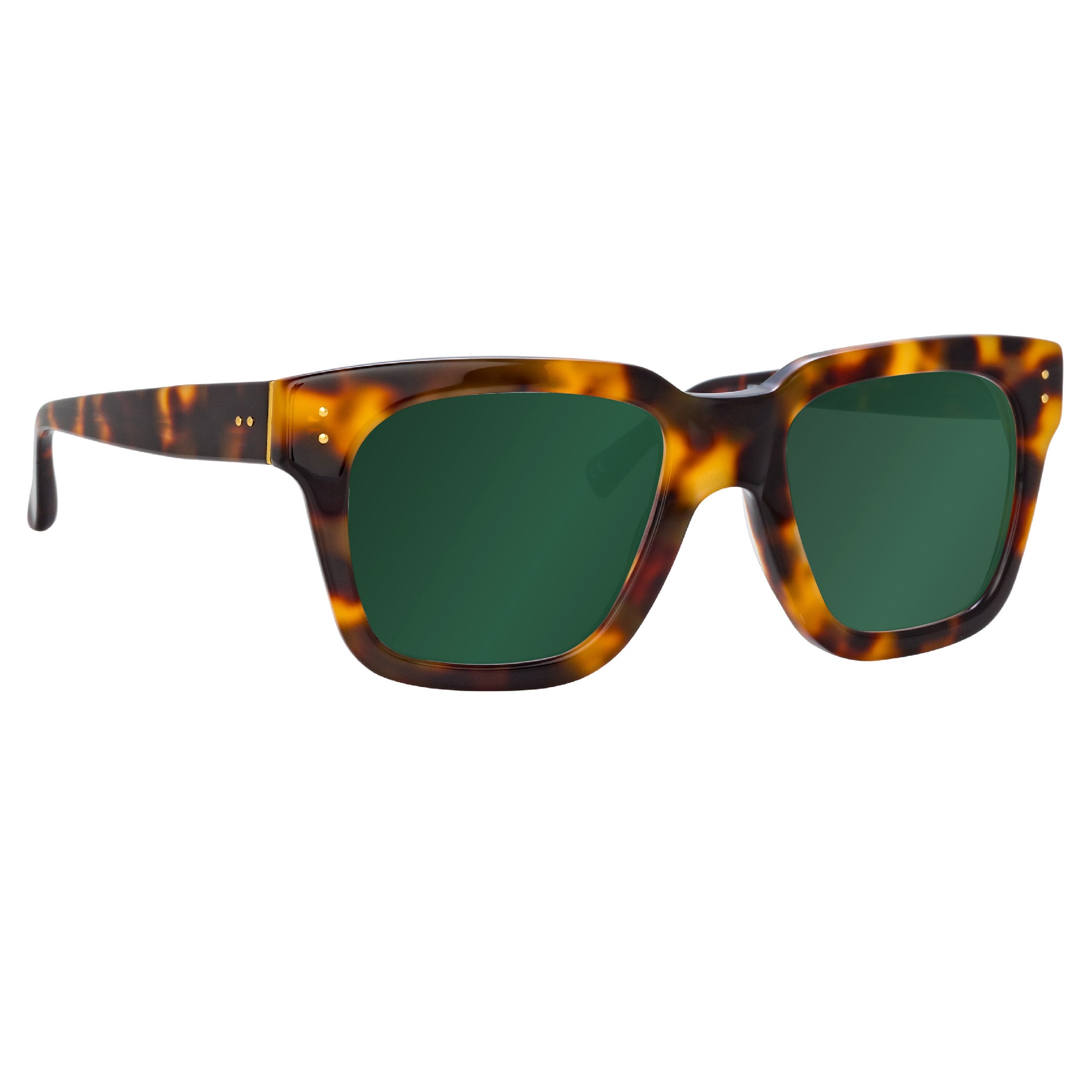 Max Sunglasses in Green and Tortoiseshell Frame